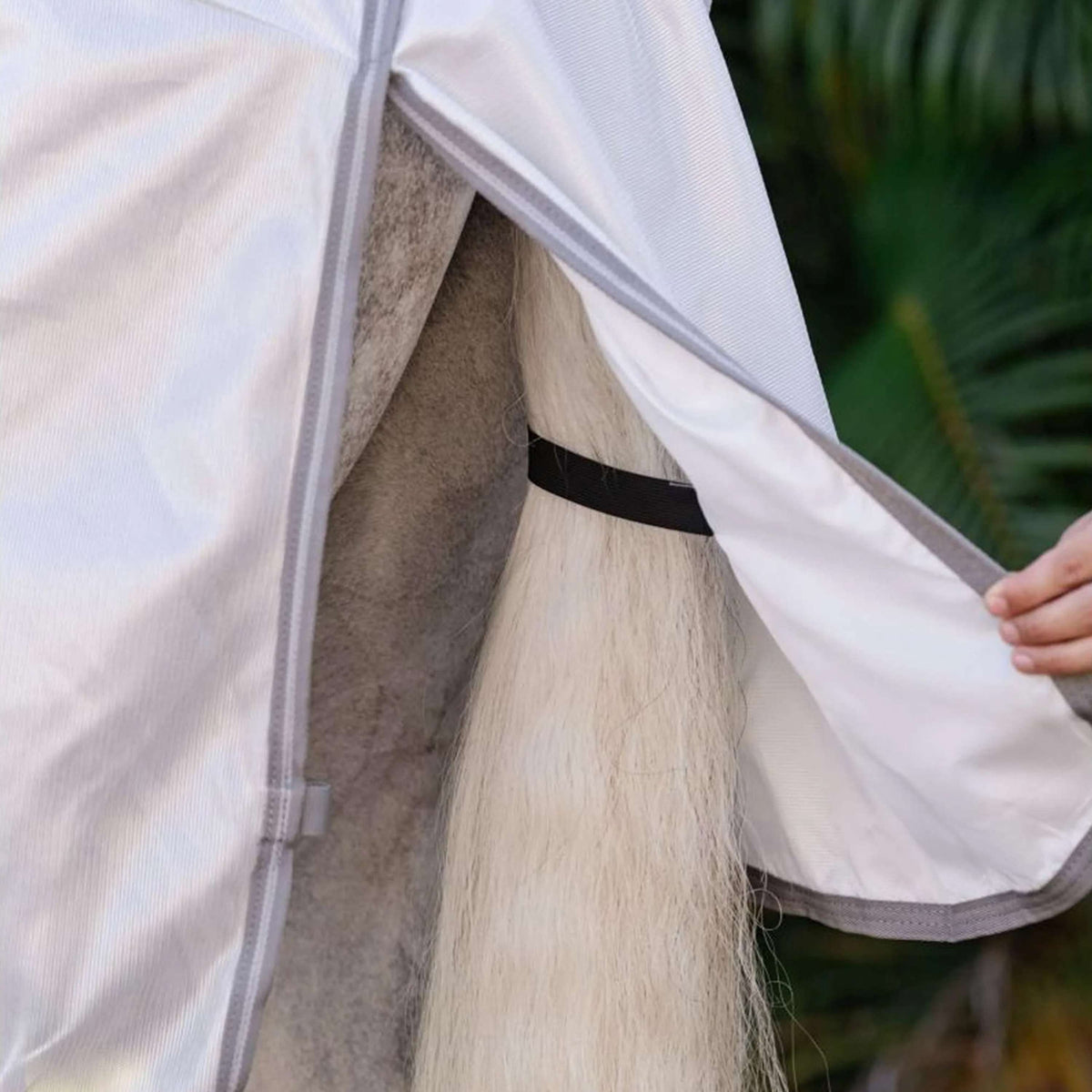 Amigo Coperta Antimosche Integrated Argento/Grigio Titanio/Argento