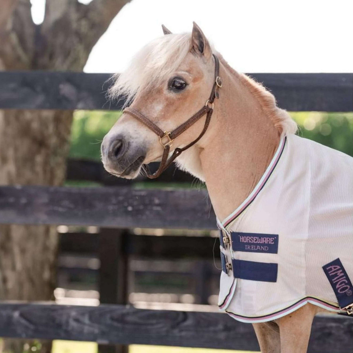 Amigo Bug Rug Plus Petite Argento/Lime/Blu marino/Rosa/Blu