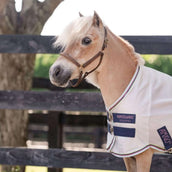 Amigo Bug Rug Plus Petite Argento/Lime/Blu marino/Rosa/Blu