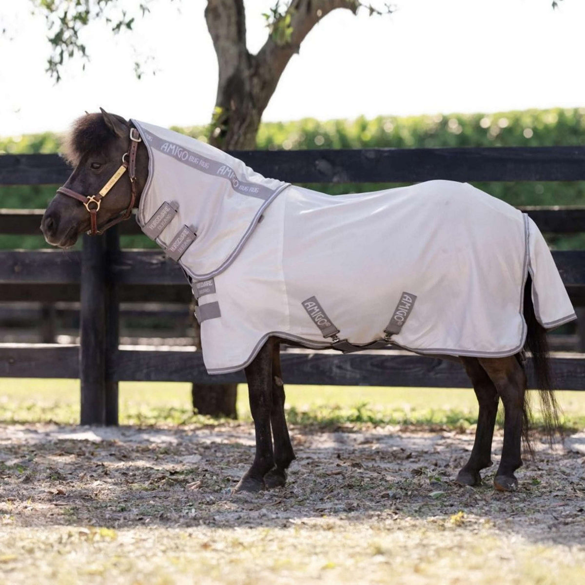 Amigo Bug Rug Plus Petite Argento/Grigio Titanio/Argento