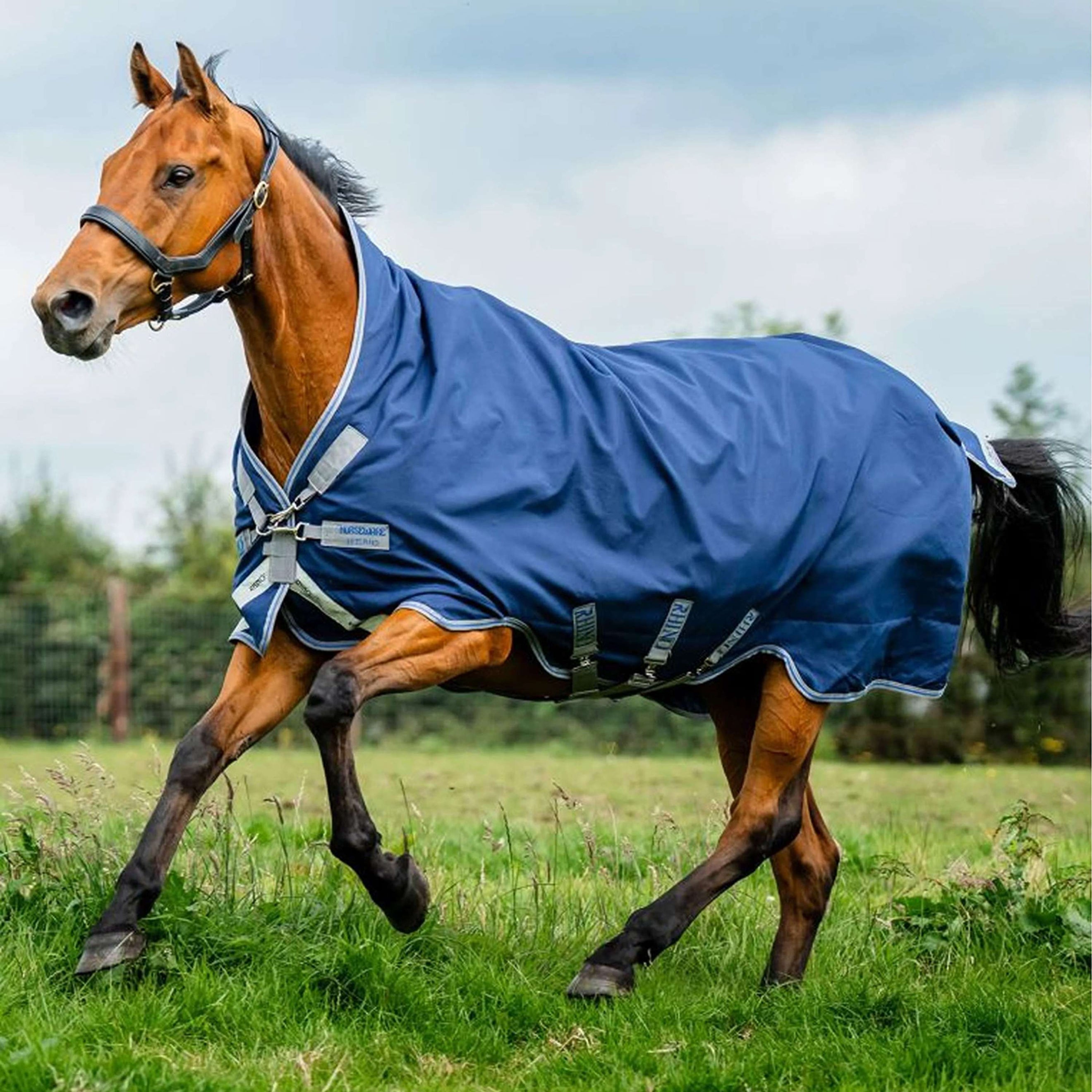 Rhino Wug Turnout 0g Blu marino/Grigio titanio/Blu classico Rhino Wug Turnout 0g Blu marino/Grigio titanio/Blu classico