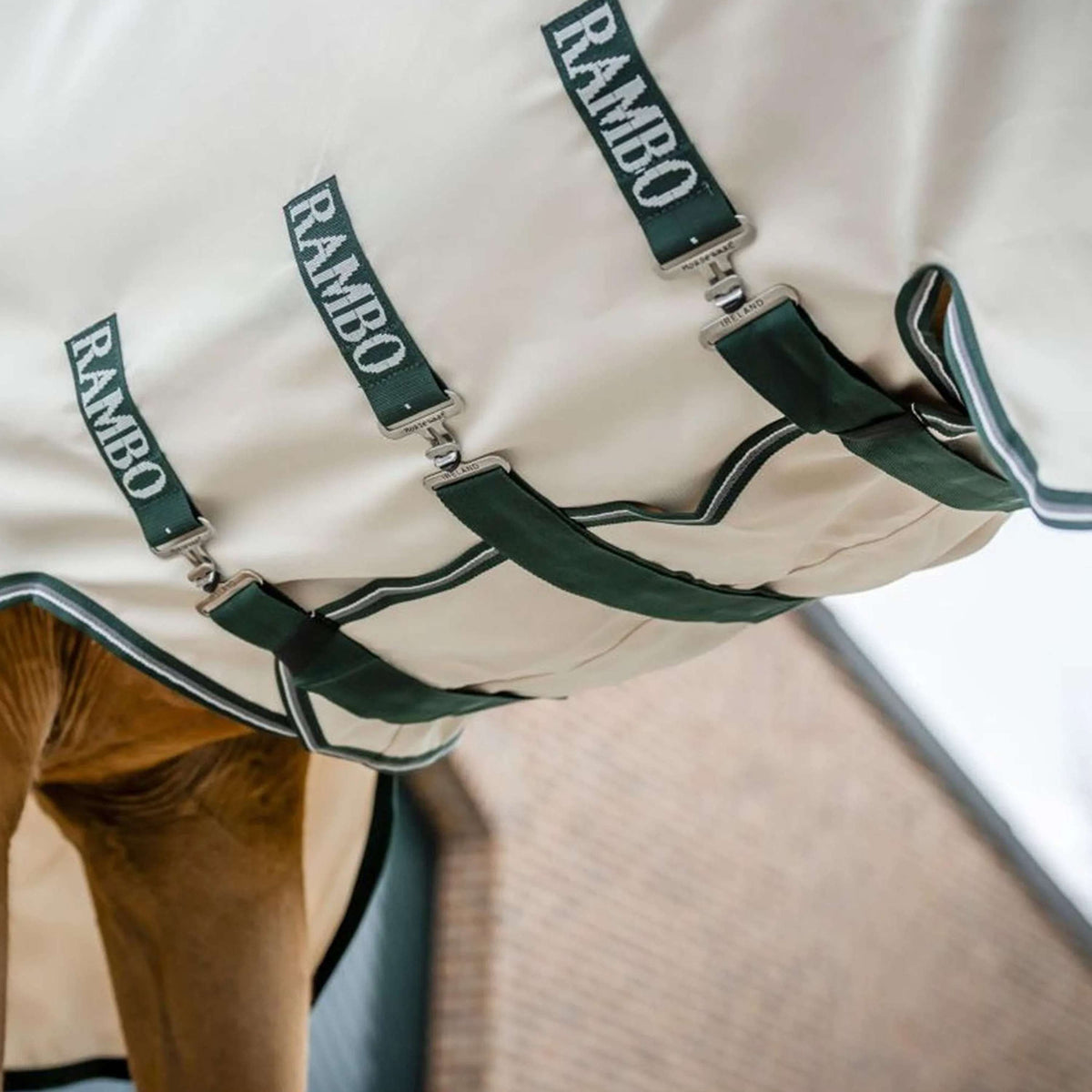 Rambo Hoody Gesso/verde cacciatore/argento