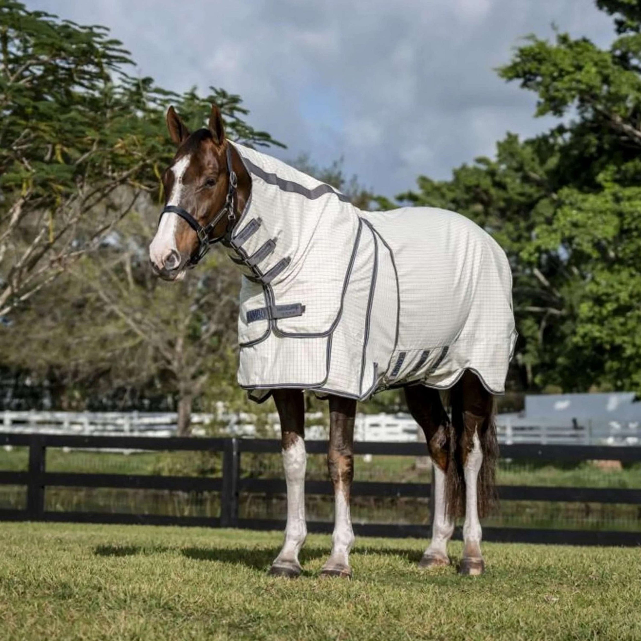 Rambo Optimo Supreme Summer Sheet Plus Check blu scuro/Grigio temporale/Argento