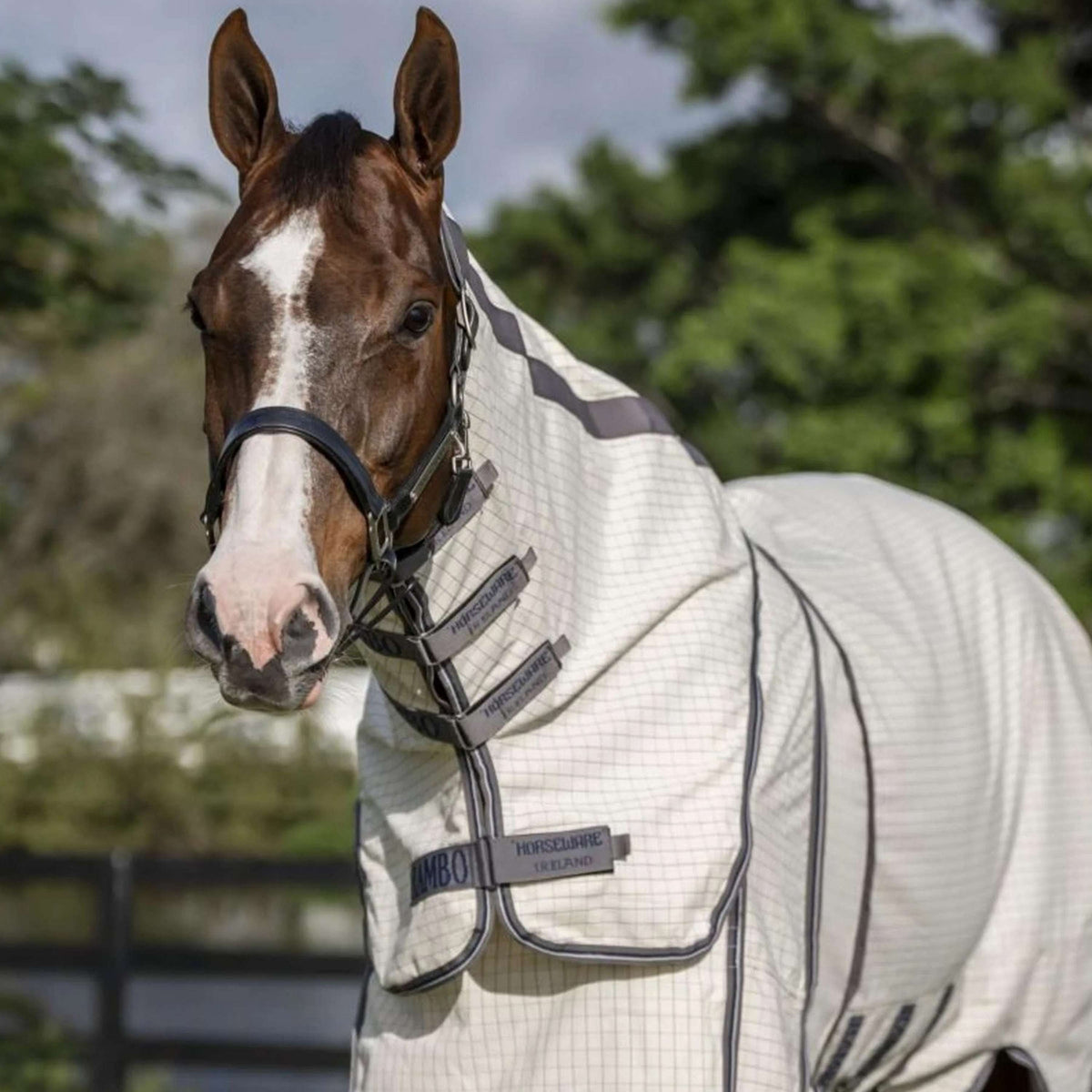 Rambo Optimo Supreme Summer Sheet Plus Check blu scuro/Grigio temporale/Argento