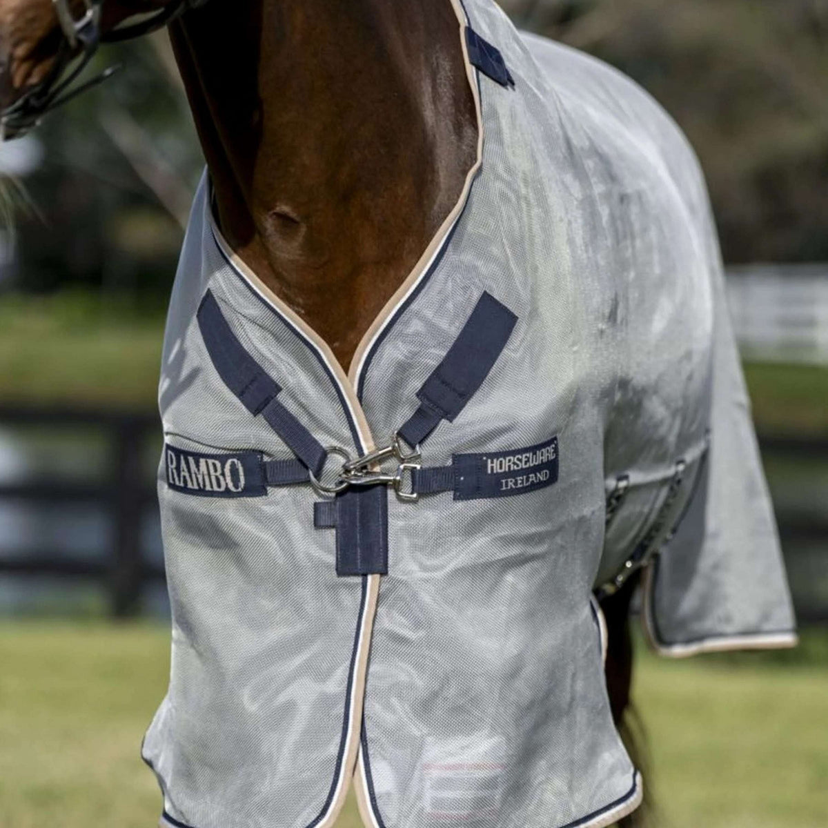 Rambo Protettore Argento/Blu scuro/Bianco/Beige