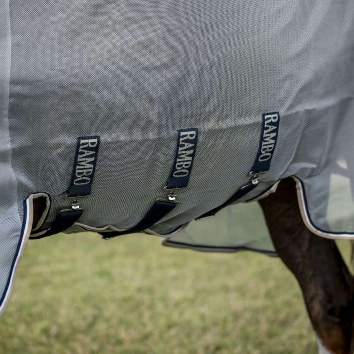 Rambo Protettore Argento/Blu scuro/Bianco/Beige