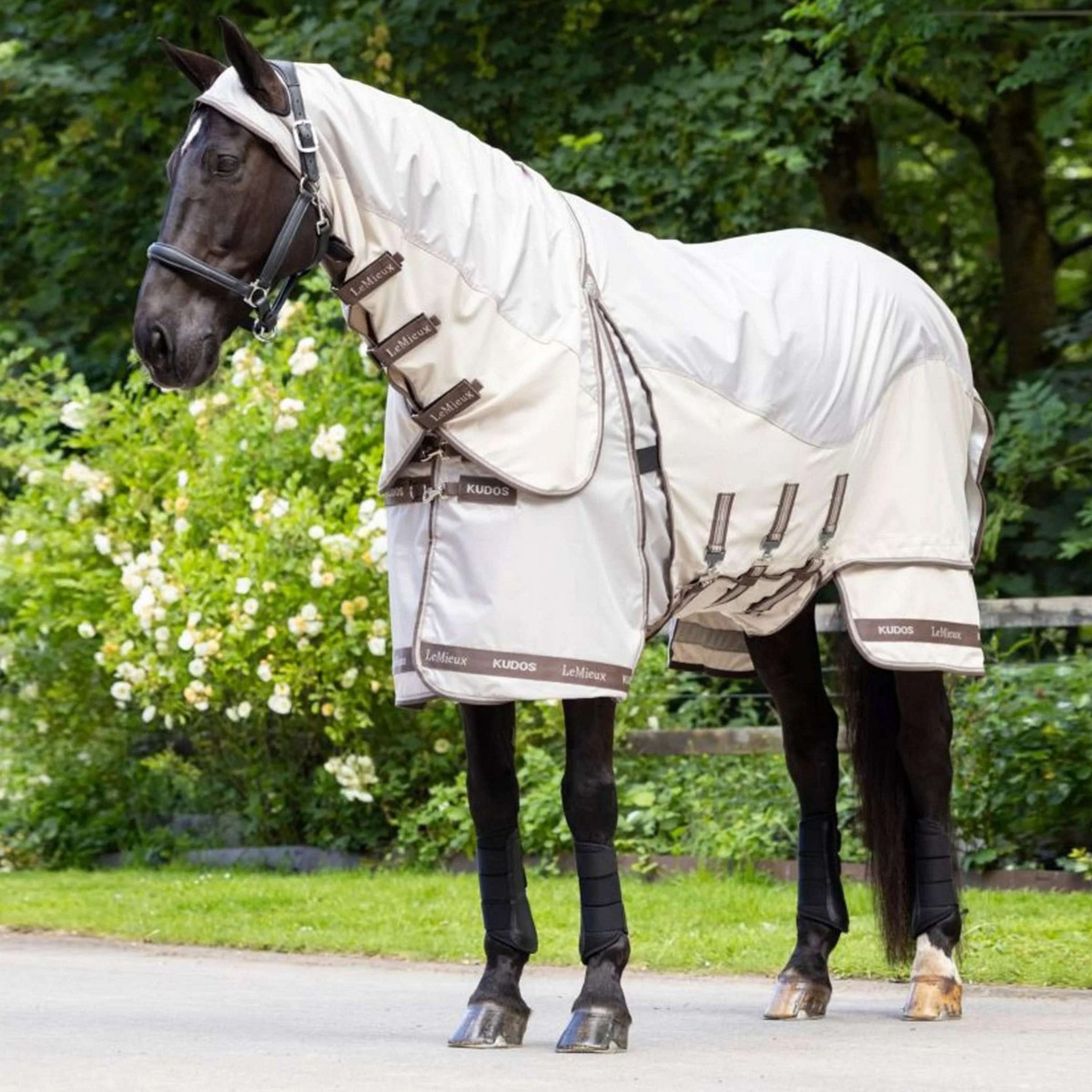 LeMieux Coperta per Eczema Kudos Shower Pro Sweet Itch Calcolo LeMieux Coperta per Eczema Kudos Shower Pro Sweet Itch Calcolo