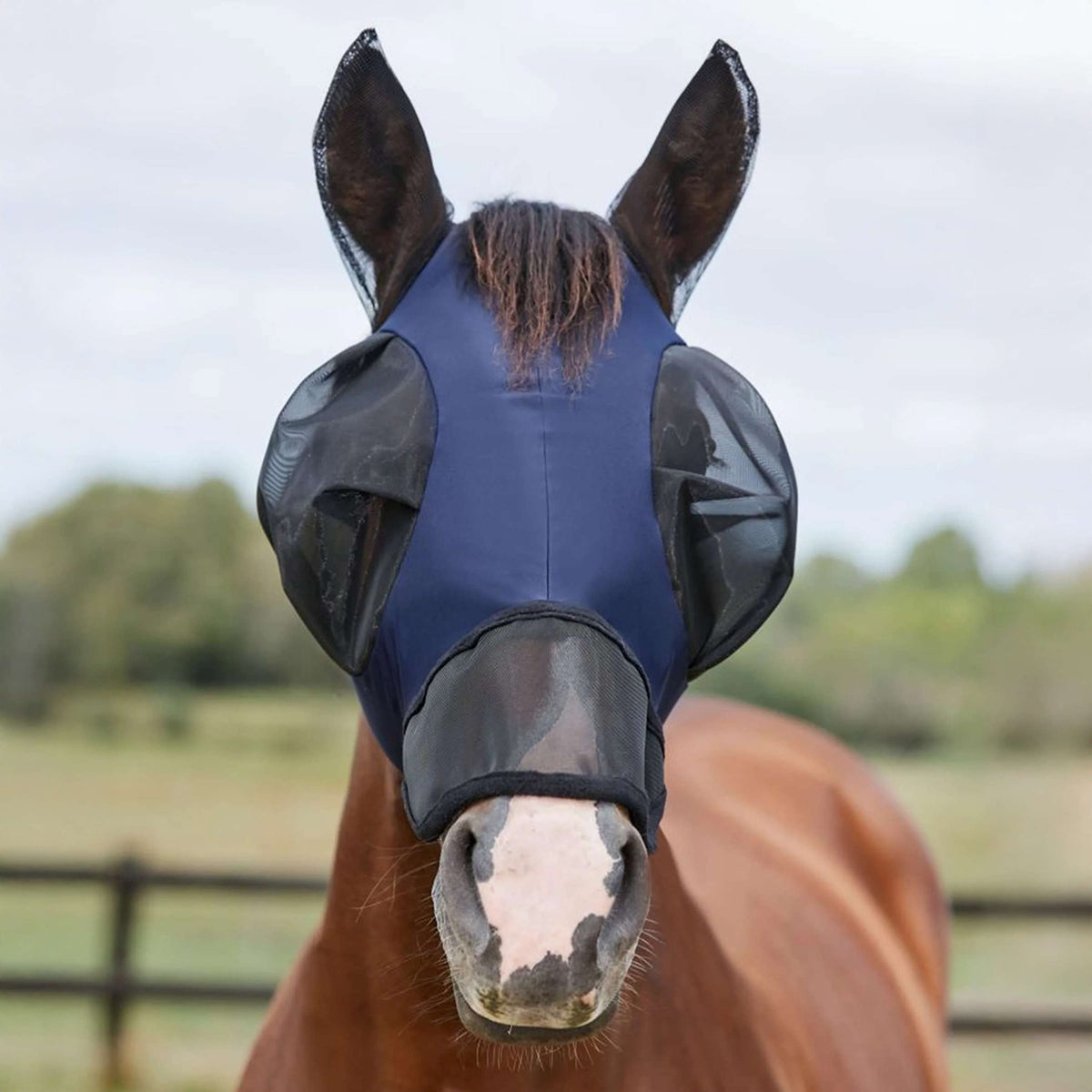 WeatherBeeta Maschera per Mosche ComFiTec Luxe Bug Eye Saver con Orecchie e Naso Blu marino/nero