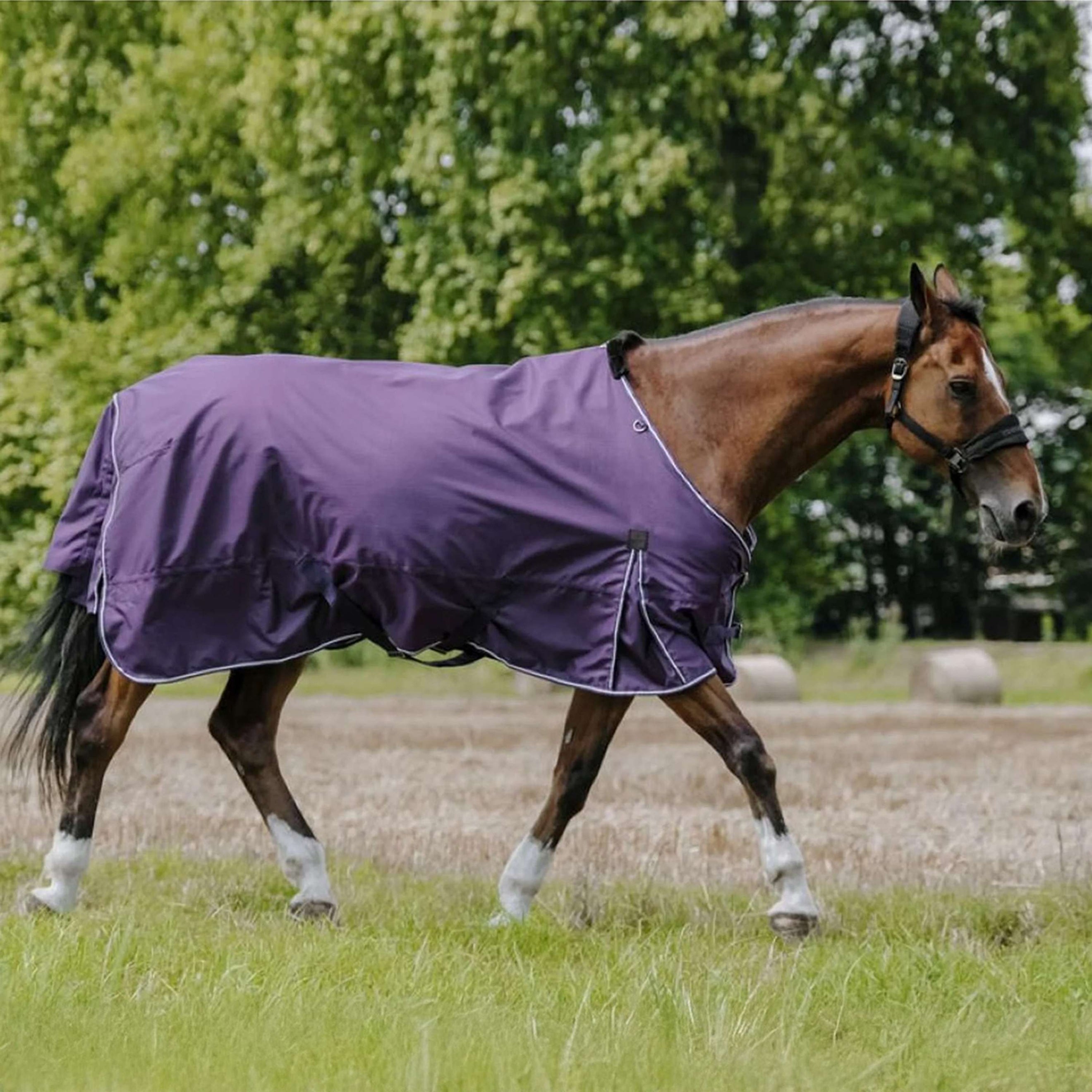 EQUITHÈME Tappeto da Esterno Tyrex Aisance 600D 50 g EQUITHÈME Tappeto da Esterno Tyrex Aisance 600D 50 g