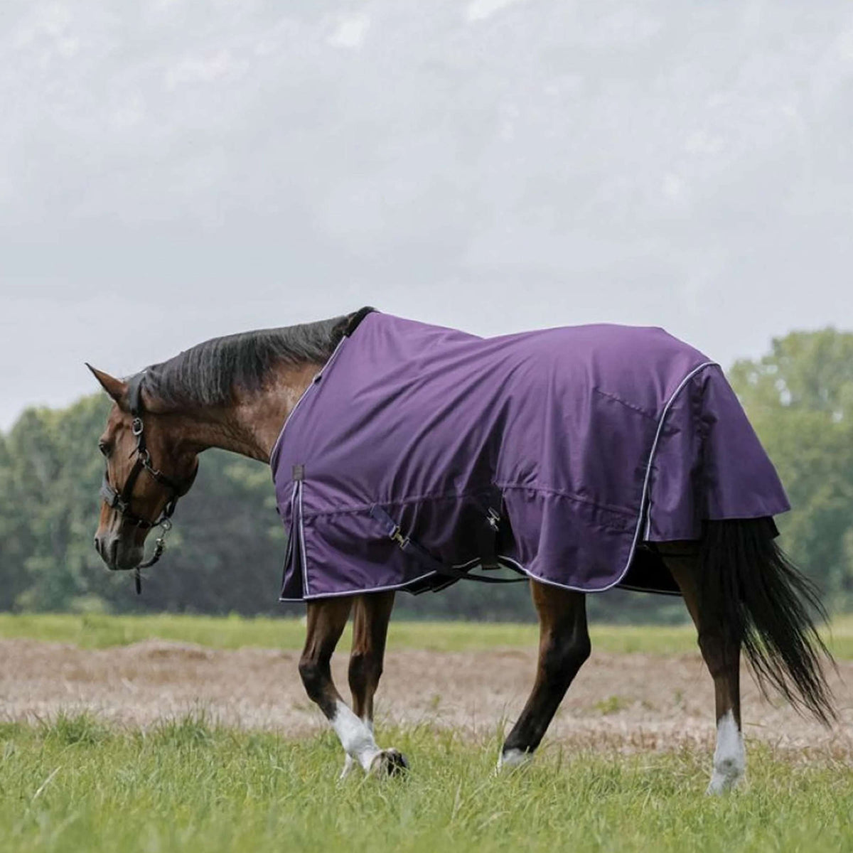 EQUITHÈME Tappeto da Esterno Tyrex Aisance 600D 300 g