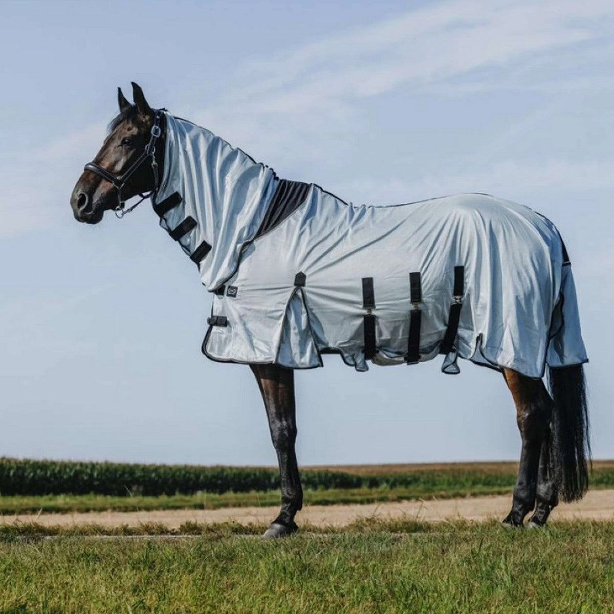 Riding World Coperta Antimosche Belly Mesh Combo Grigio