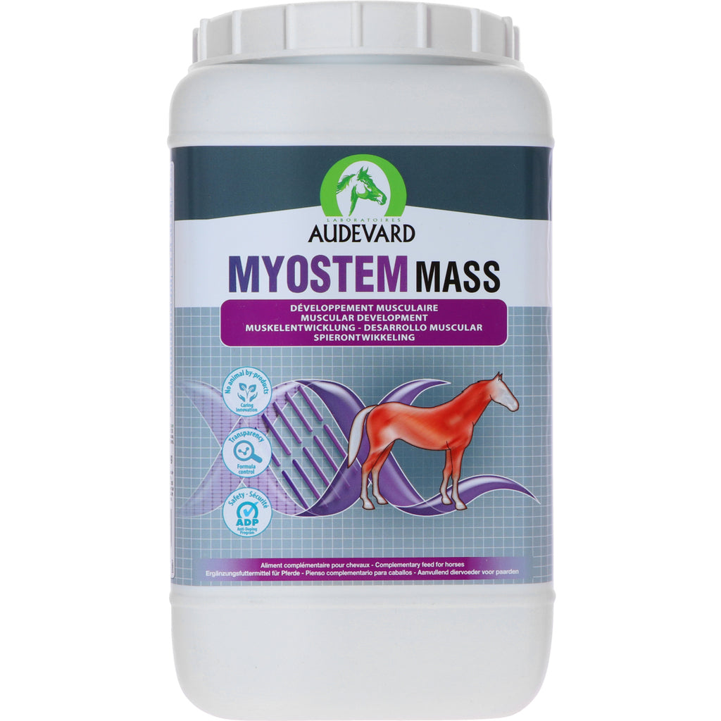 Audevard Massa miostematica
