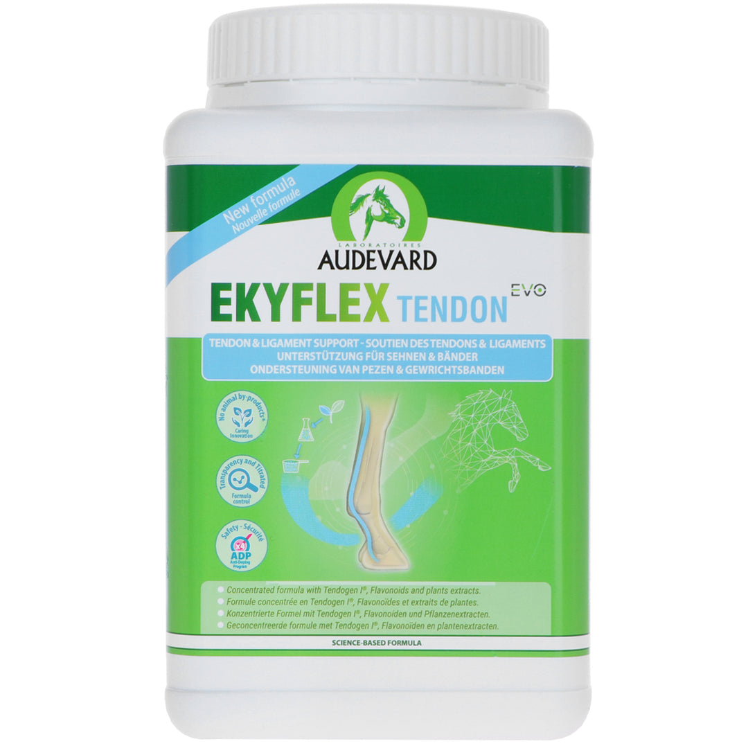 Audevard Ekyflex Tendine Evo