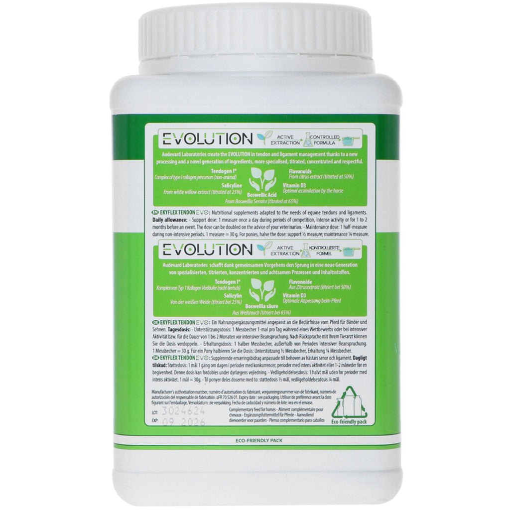 Audevard Ekyflex Tendine Evo
