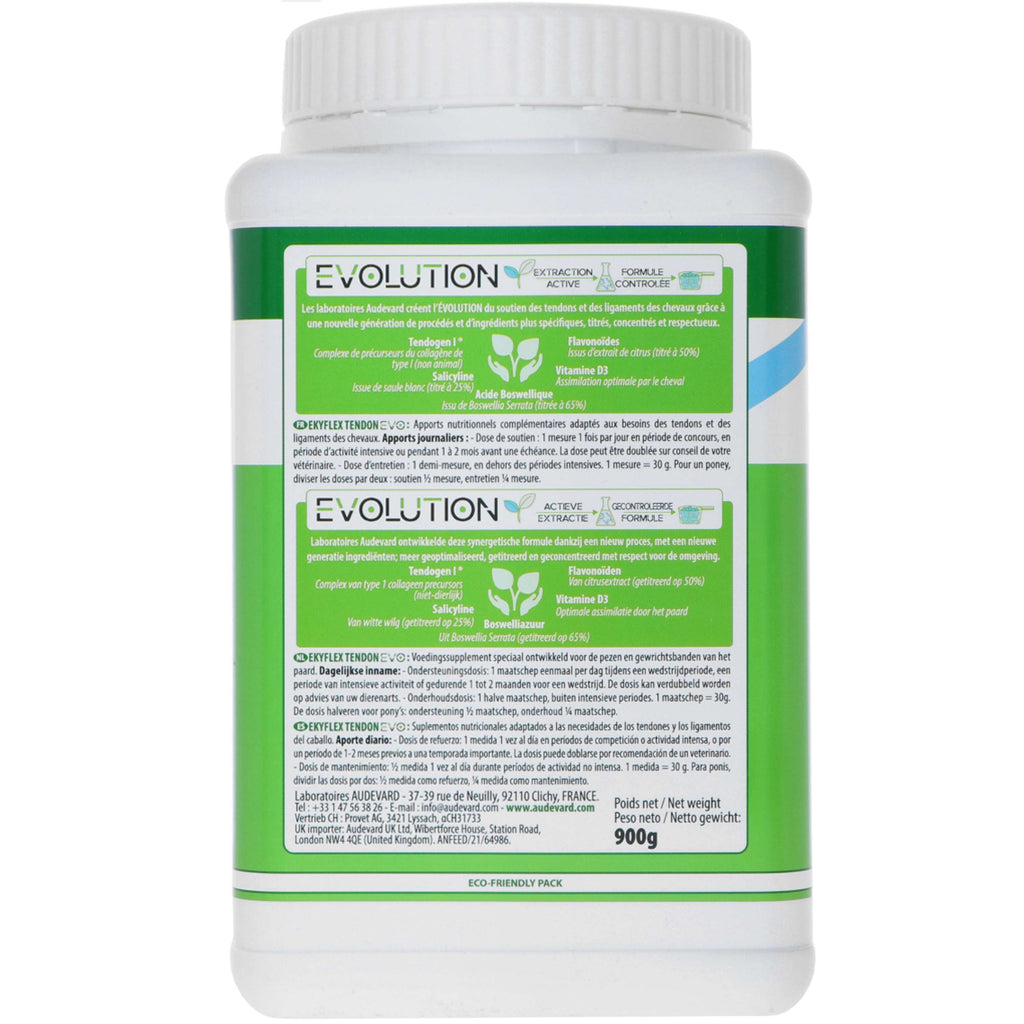 Audevard Ekyflex Tendine Evo