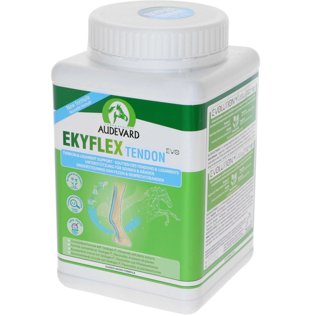 Audevard Ekyflex Tendine Evo