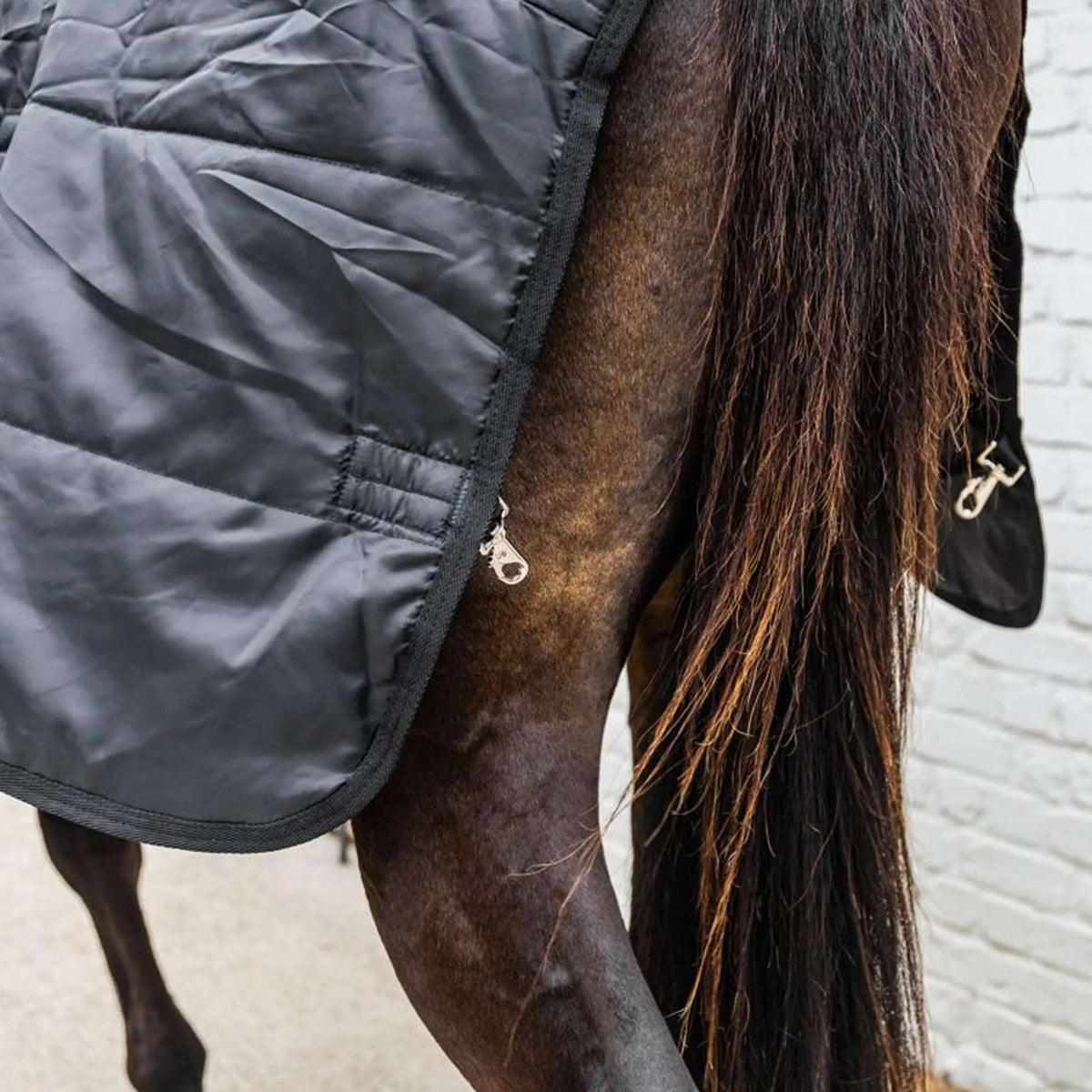 Kentucky Ritorno dell'affluenza alle urne Comfort Liner 300g Nero