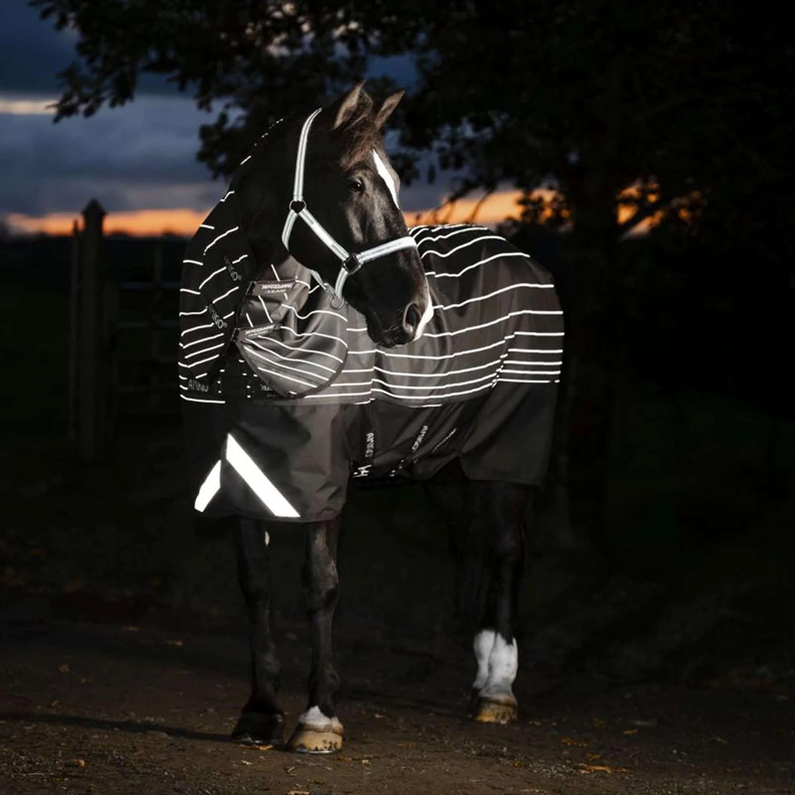 Amigo Turnout Rug FieldSafe Reflectech Plus 1200D 250g Black/Reflective/Black Amigo Turnout Rug FieldSafe Reflectech Plus 1200D 250g Black/Reflective/Black