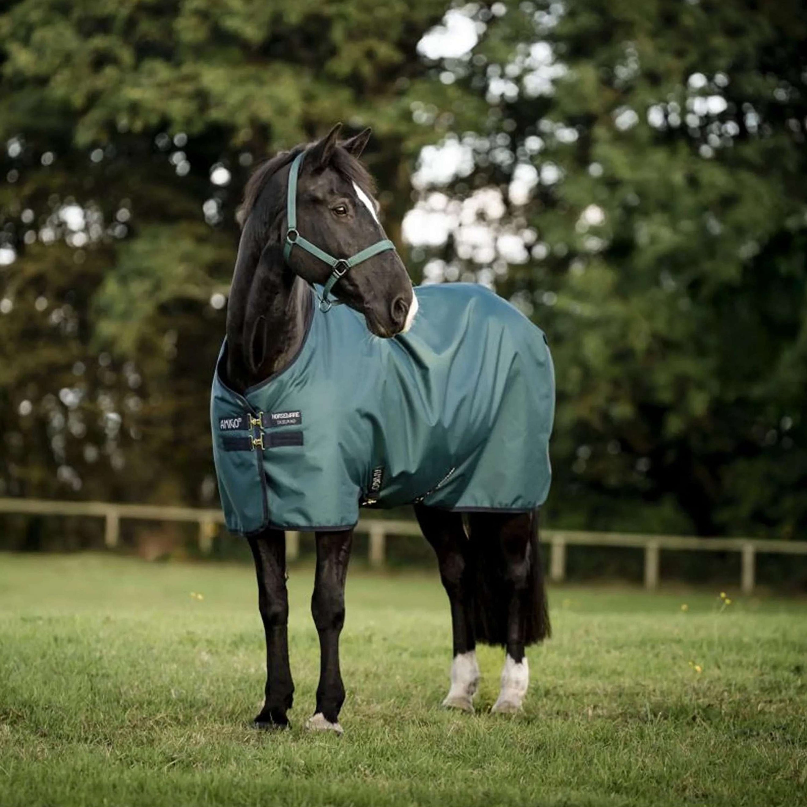 Amigo Ripstop 900D Pony 50g Dynasty Green/Navy/Silver Amigo Ripstop 900D Pony 50g Dynasty Green/Navy/Silver