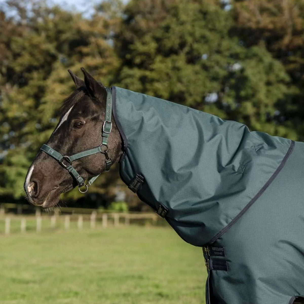 Amigo Copricollo Ripstop 900D 0g Dynasty Green/Navy/Silver