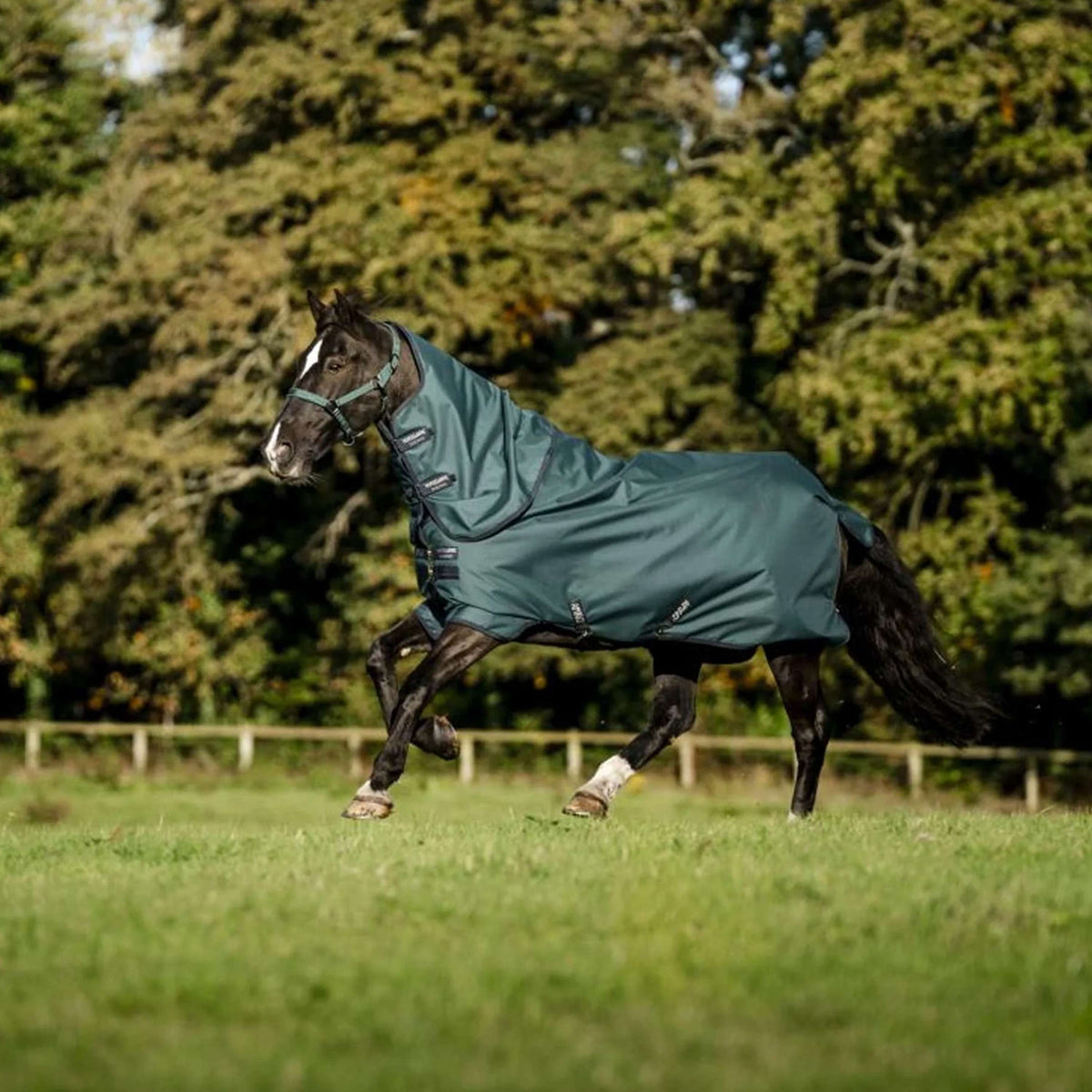 Amigo Copricollo Ripstop 900D 0g Dynasty Green/Navy/Silver