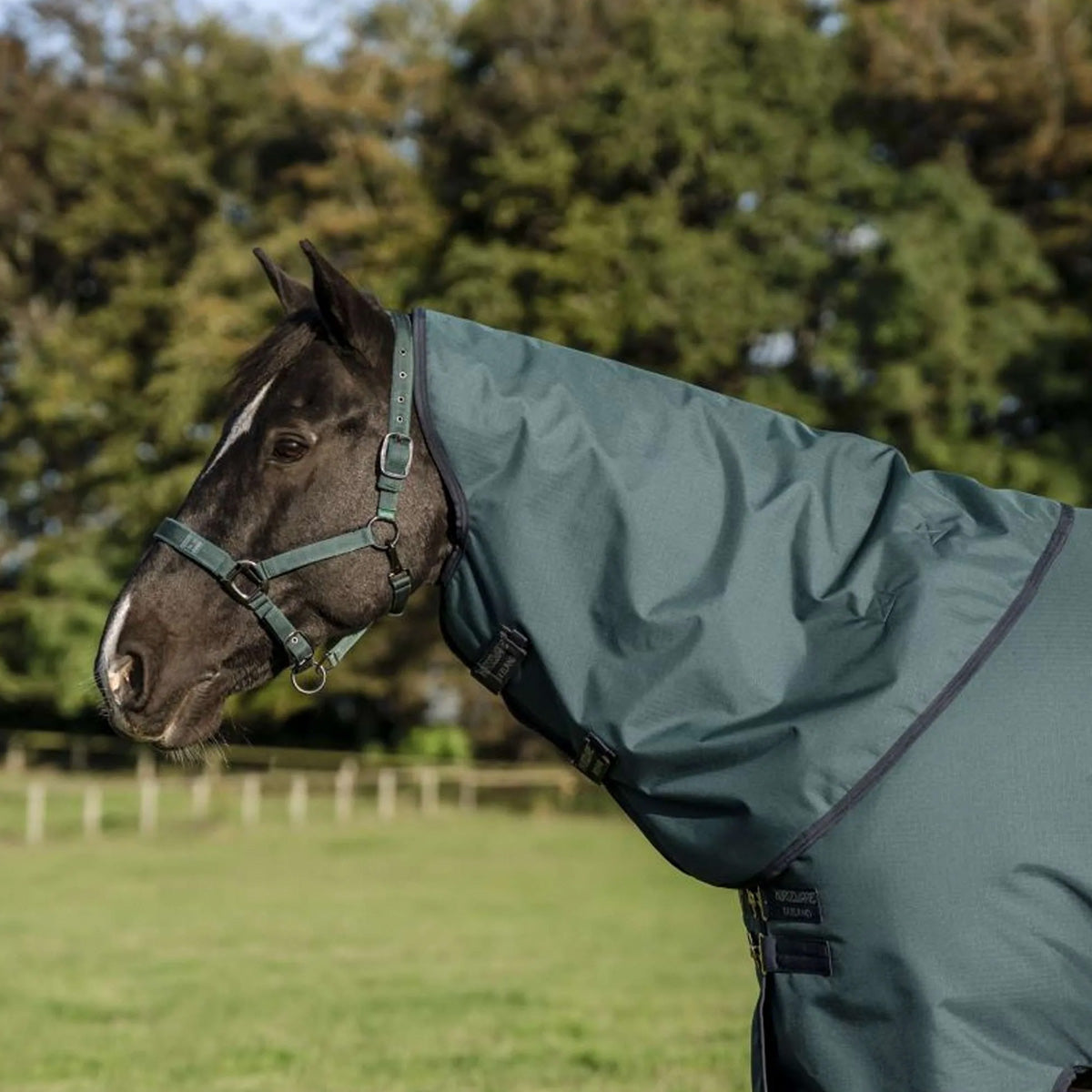 Amigo Copricollo Ripstop 900D 150g Dynasty Green/Navy/Silver