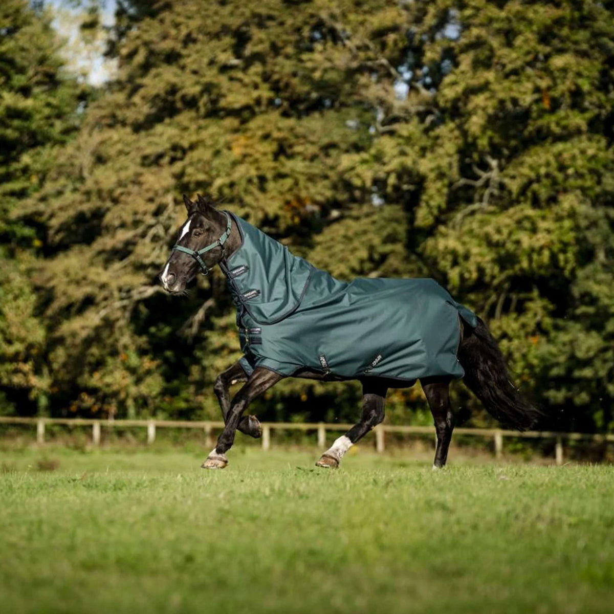 Amigo Copricollo Ripstop 900D 150g Dynasty Green/Navy/Silver