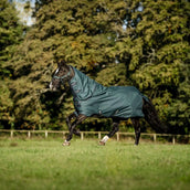 Amigo Ripstop 900D Plus 200g Dynasty Green/Navy/Silver