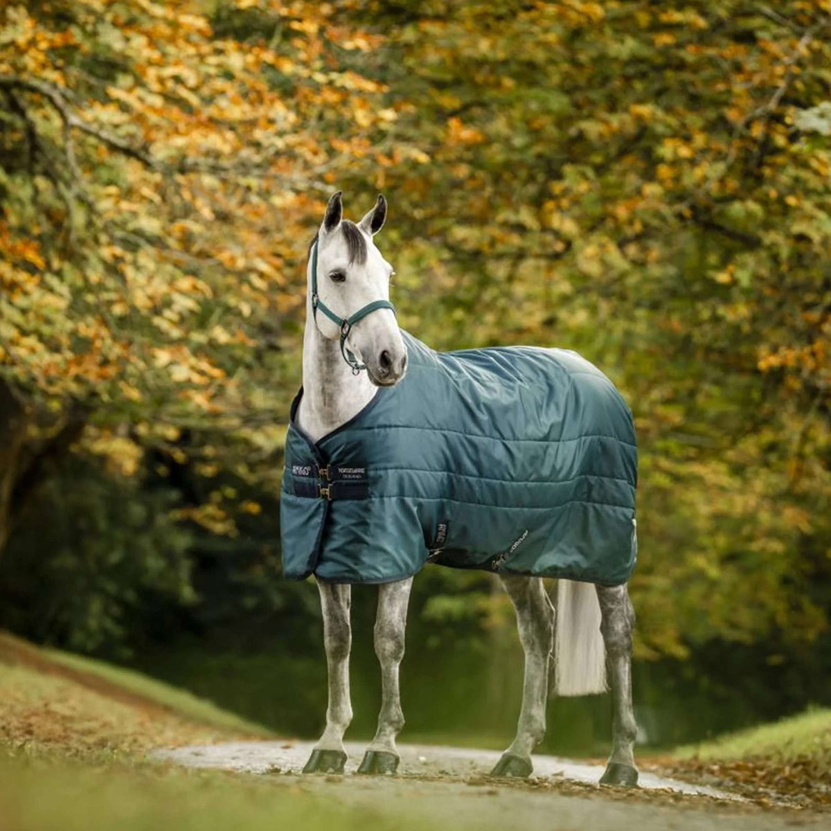 Amigo Ripstop Insulator Stable 350g Dynasty Green/Navy/Silver