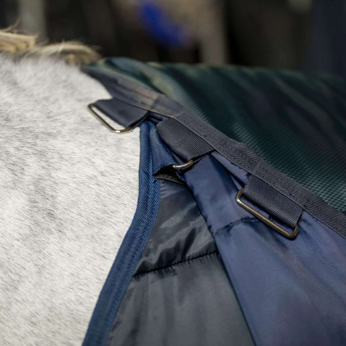 Amigo Ripstop Insulator Stable 350g Dynasty Green/Navy/Silver