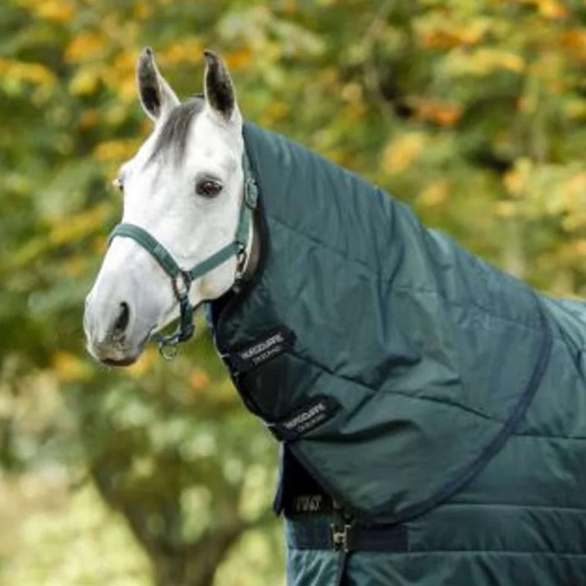 Amigo Copricollo Ripstip Insulator Stable 200g Dynasty Green/Navy/Silver