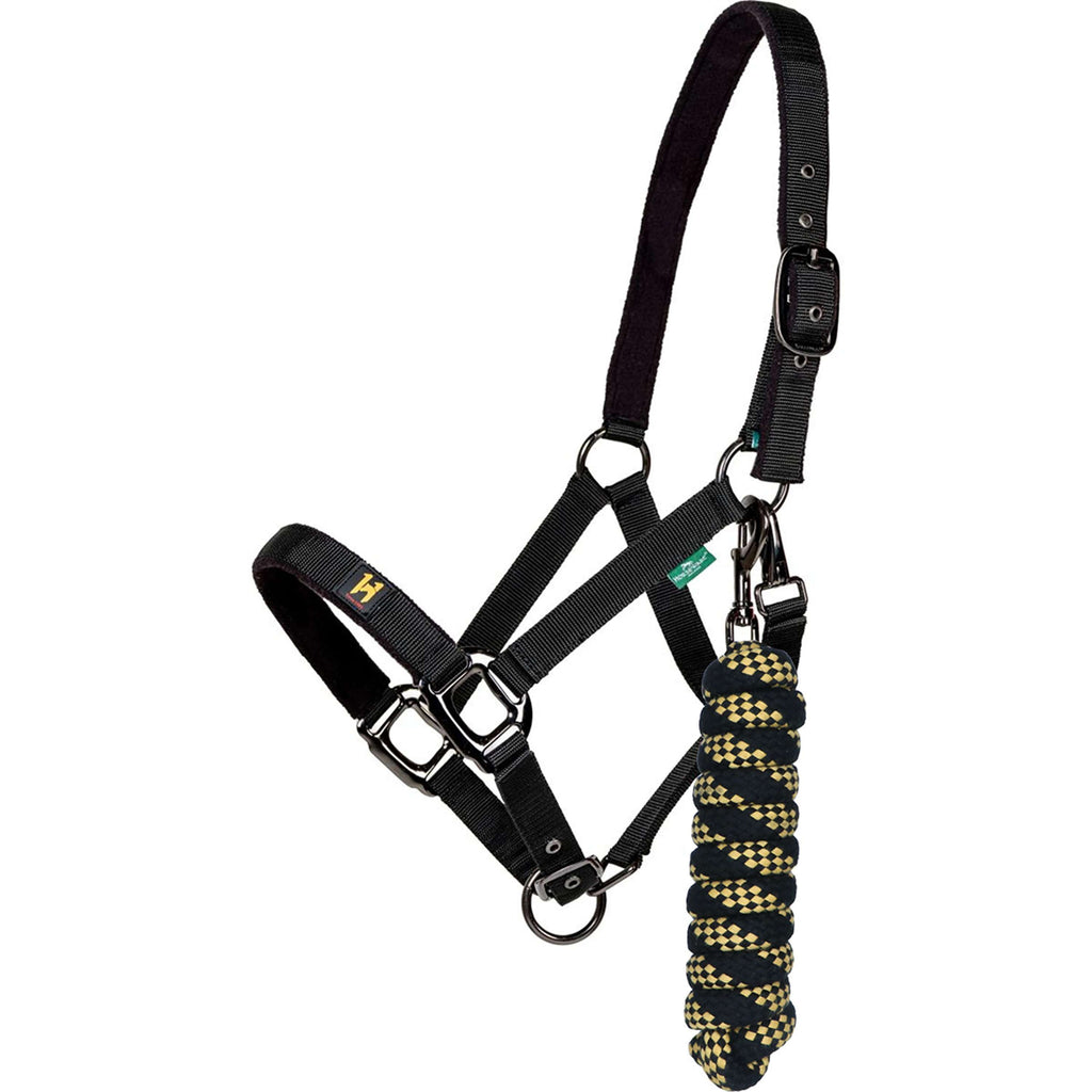 Amigo Cavezza e corda Newmarket Witney Gold