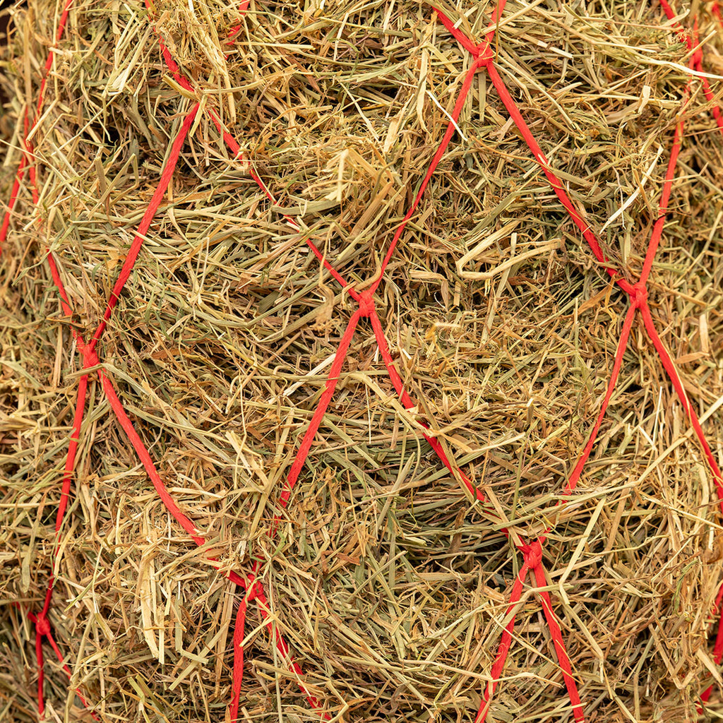 Agradi Horse Rete da Fieno Maglia 15x15cm Rosso