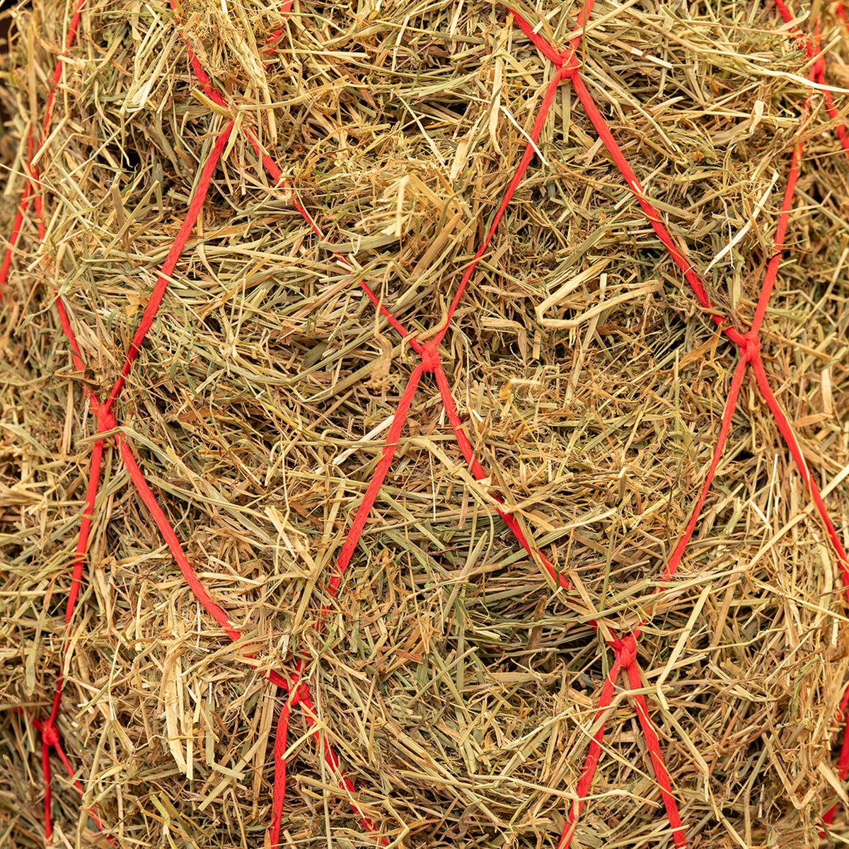 Agradi Horse Rete da Fieno Maglia 15x15cm Rosso