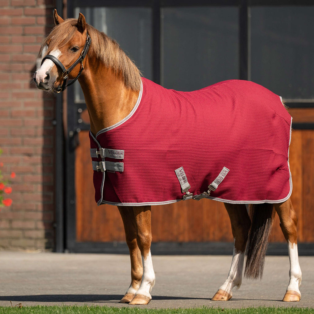Velder Horsewear Premium Pony Waffle Cooler Rug Rosso Gelso