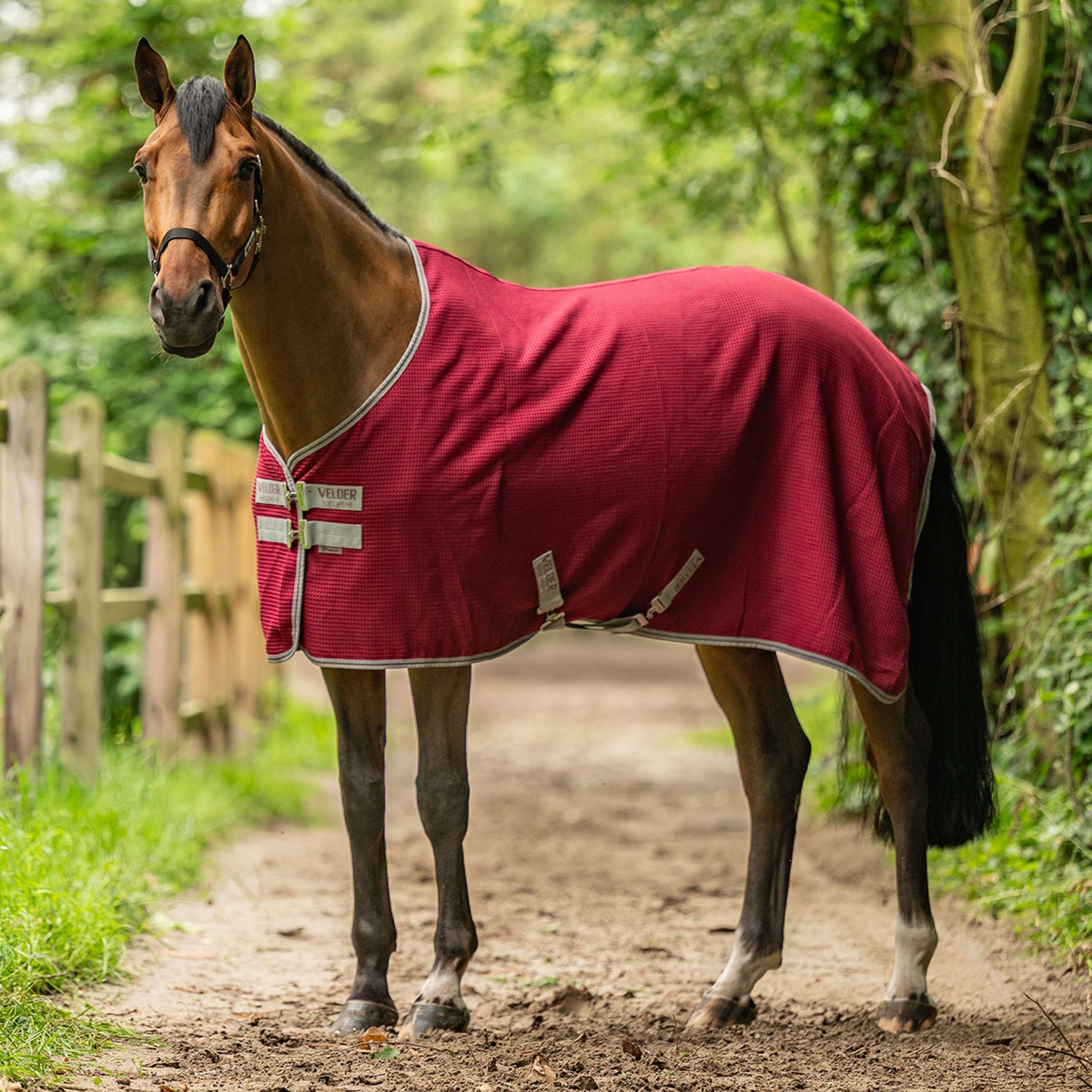 Velder Horsewear Waffle Cooler Rug Rosso Gelso