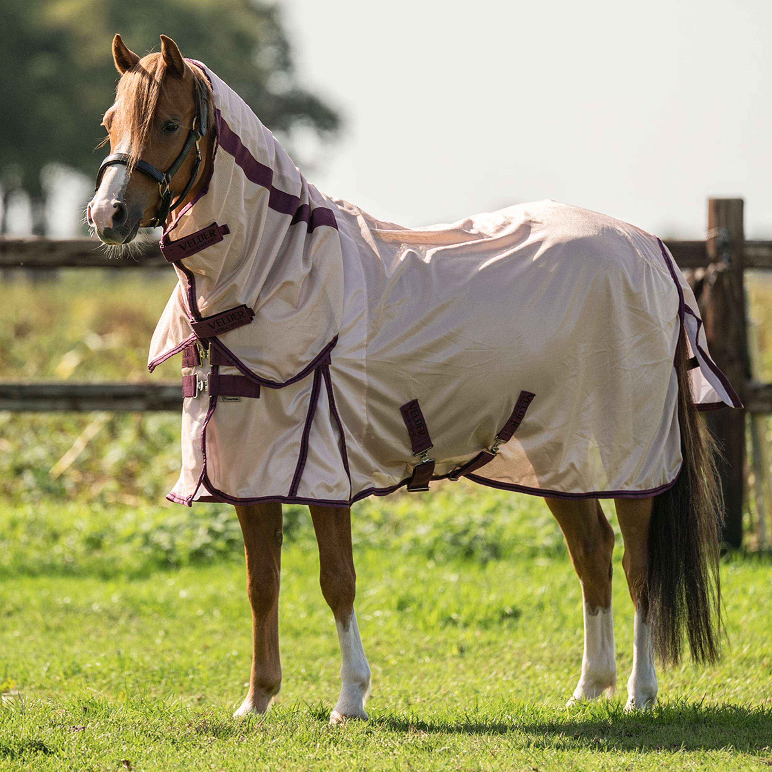 Velder Horsewear Essentials Pony Coperta Antimosche Mesh con collo Earth Grey