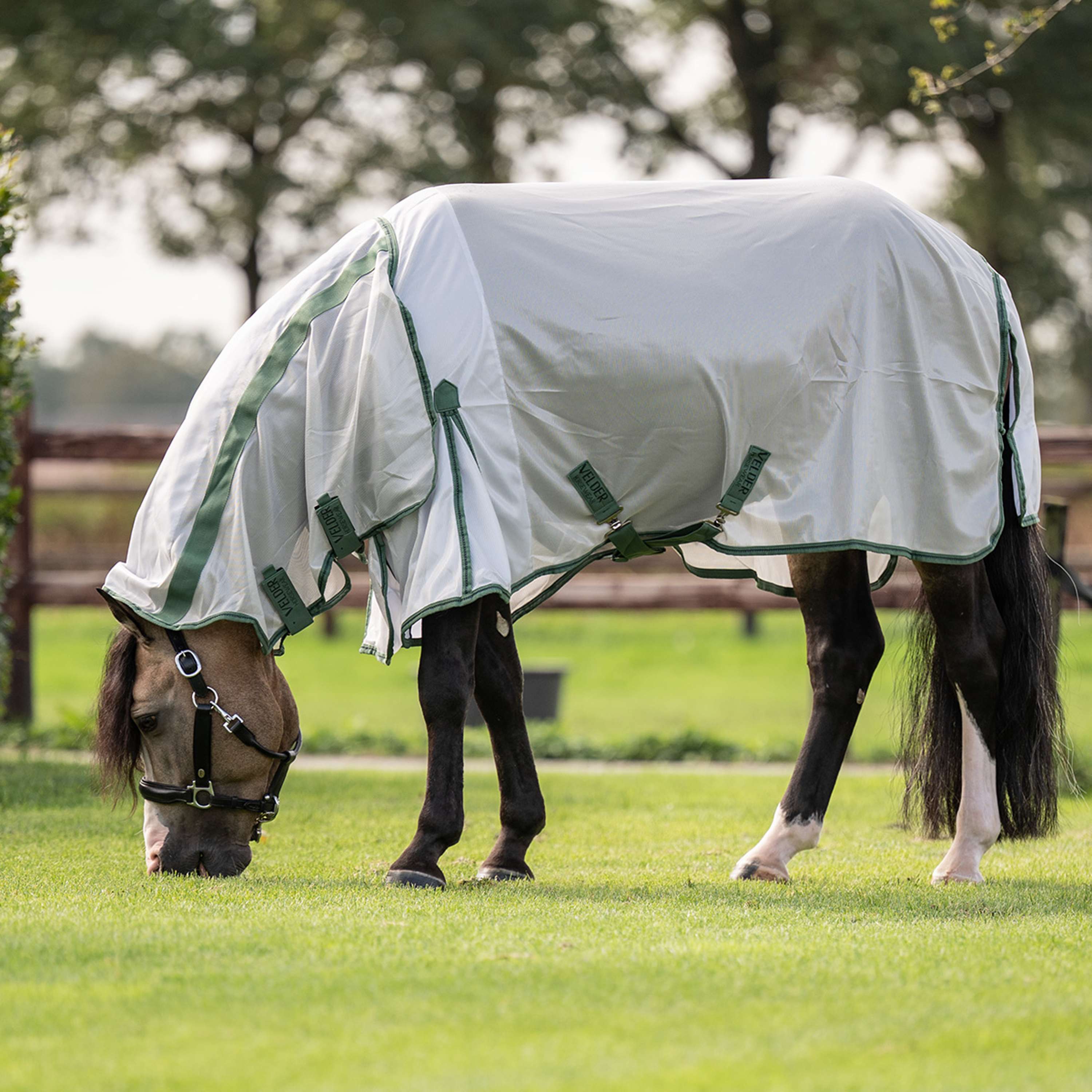 Velder Horsewear Essentials Pony Coperta Antimosche Mesh con collo Argento