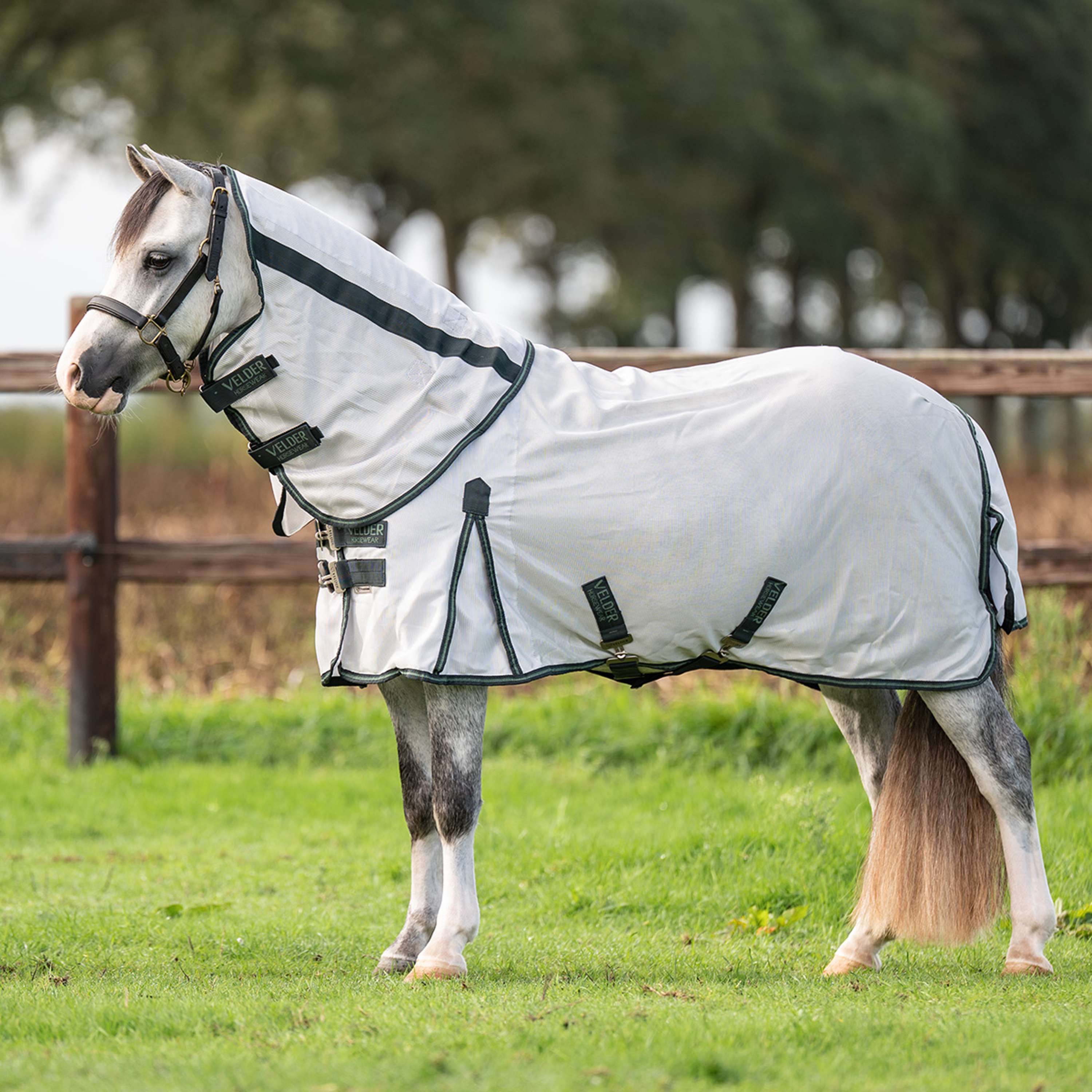 Velder Horsewear Premium Pony Coperta Antimosche Guardian AirMesh Silver Mist
