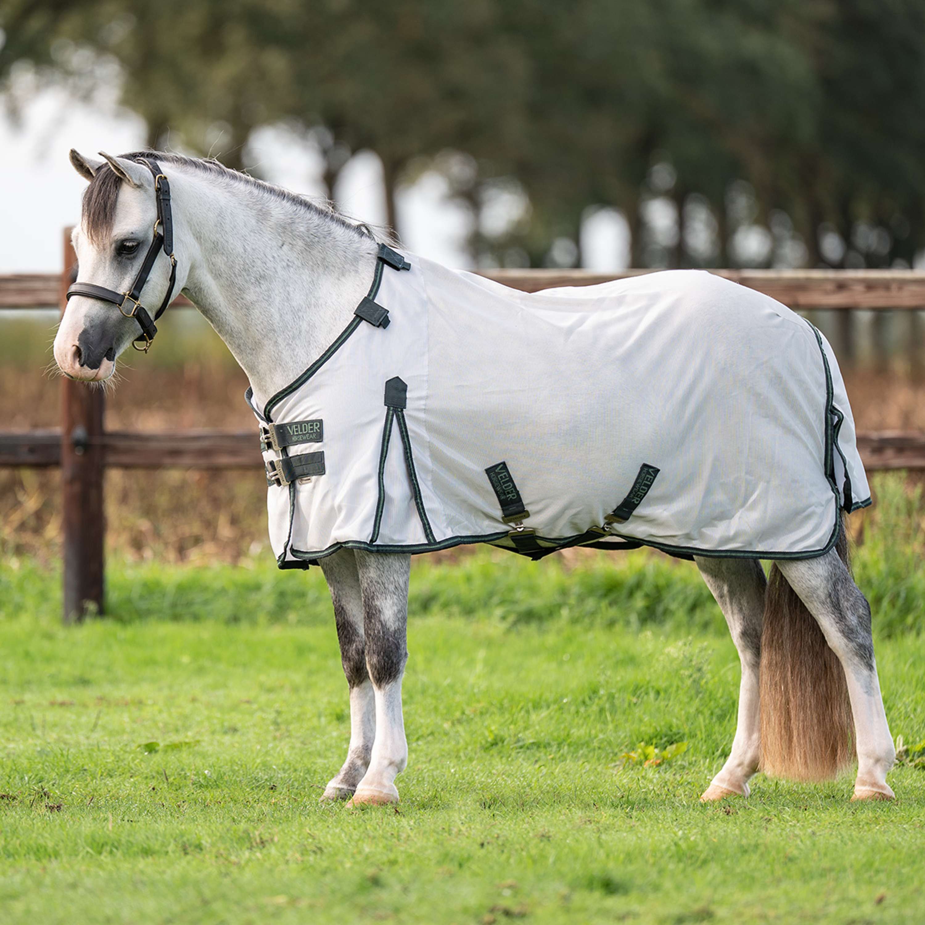 Velder Horsewear Premium Pony Coperta Antimosche Guardian AirMesh Silver Mist