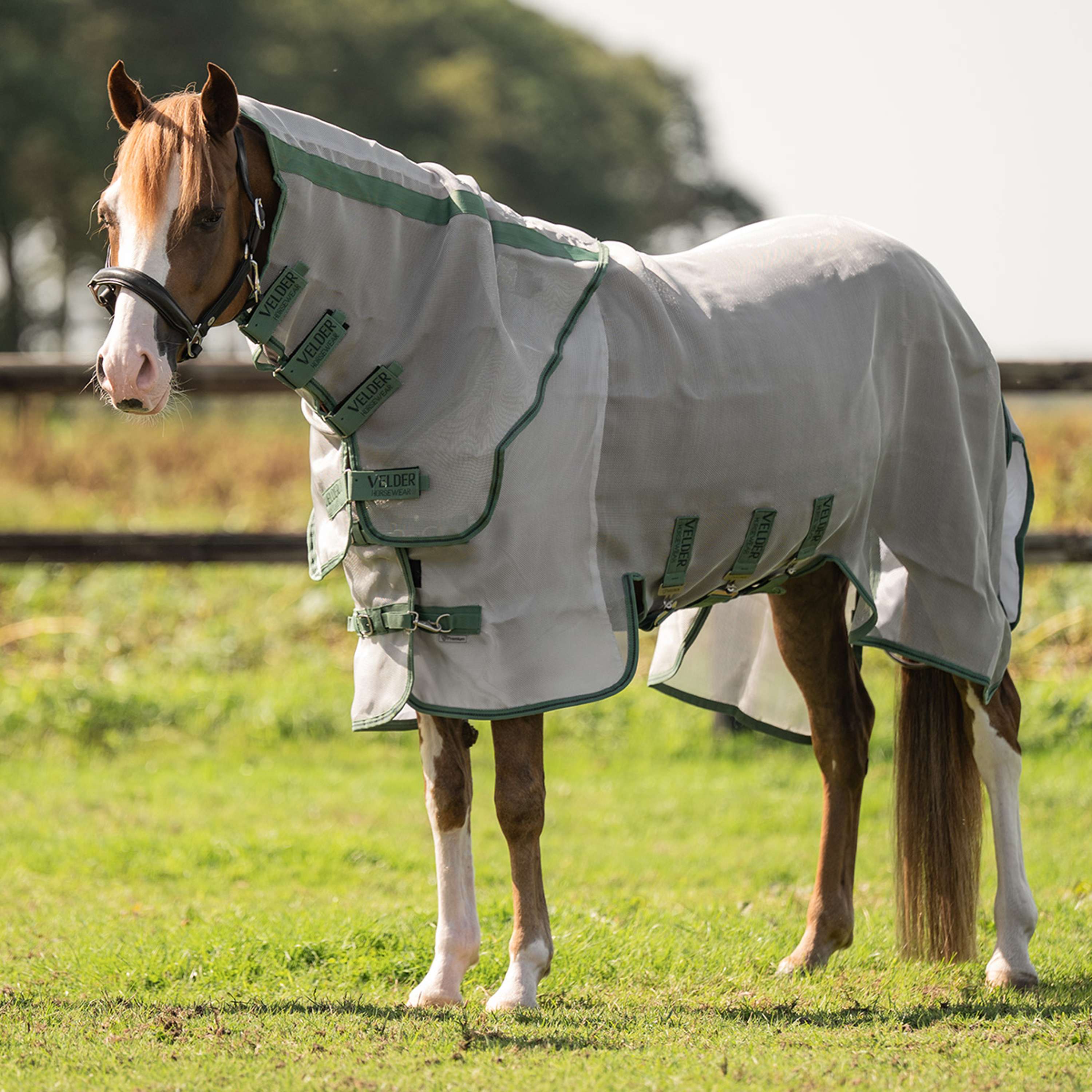 Velder Horsewear Premium Pony Insect Guard Plus Argento
