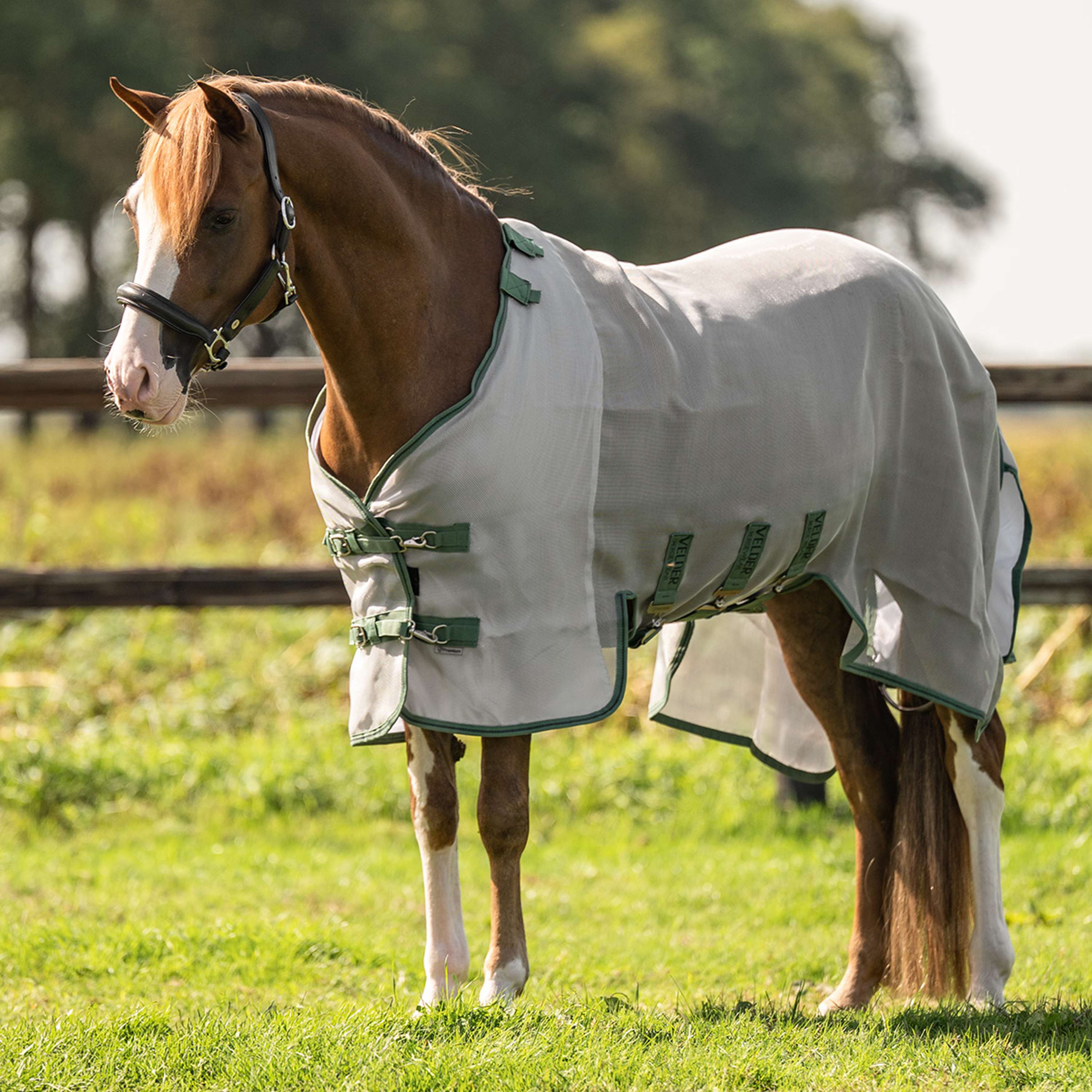 Velder Horsewear Premium Pony Insect Guard Plus Argento