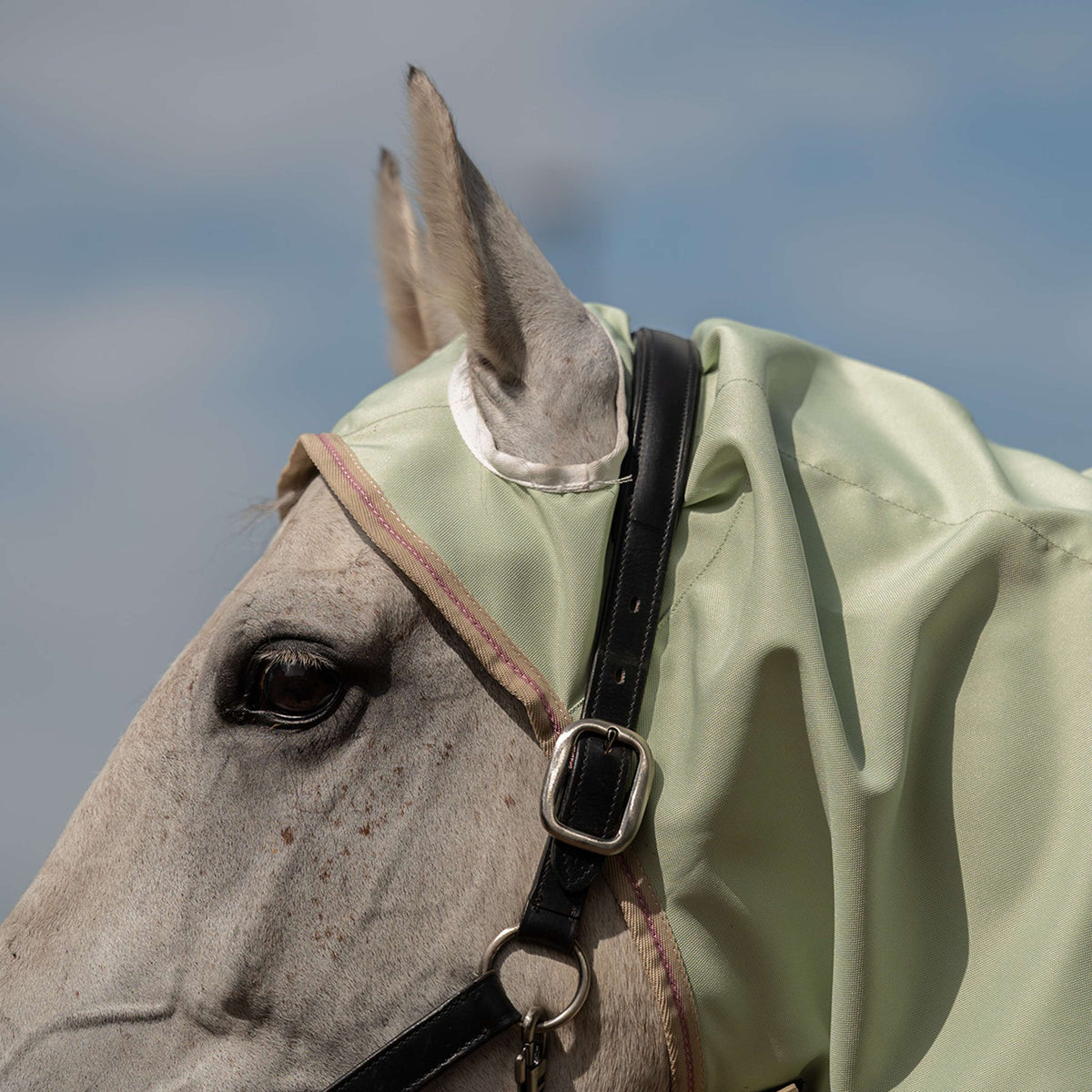 Velder Horsewear Premium Lightweight Sweet Itch Rug Sage Light