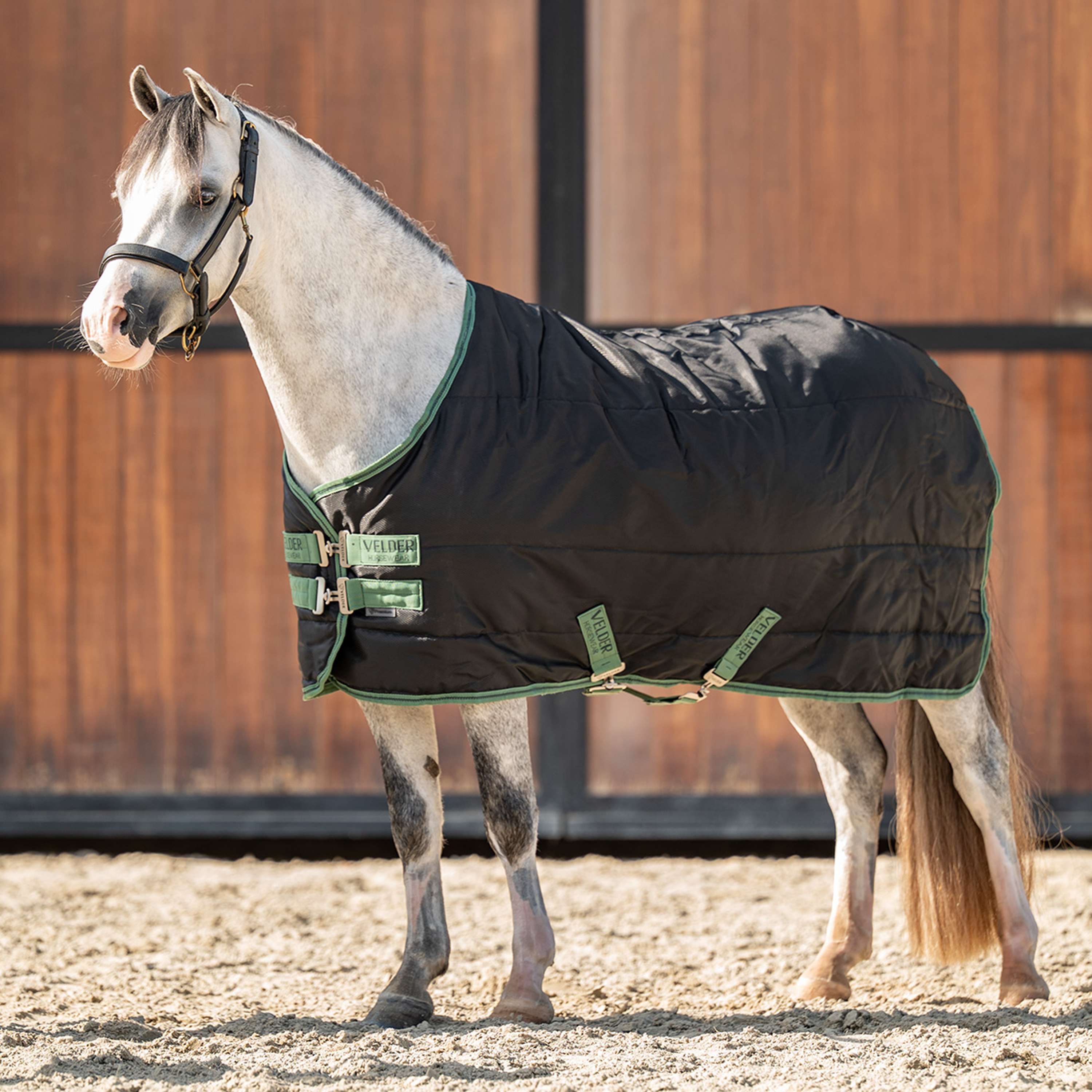 Velder Horsewear Premium Pony Coperta da scuderia 210D 100g Nero