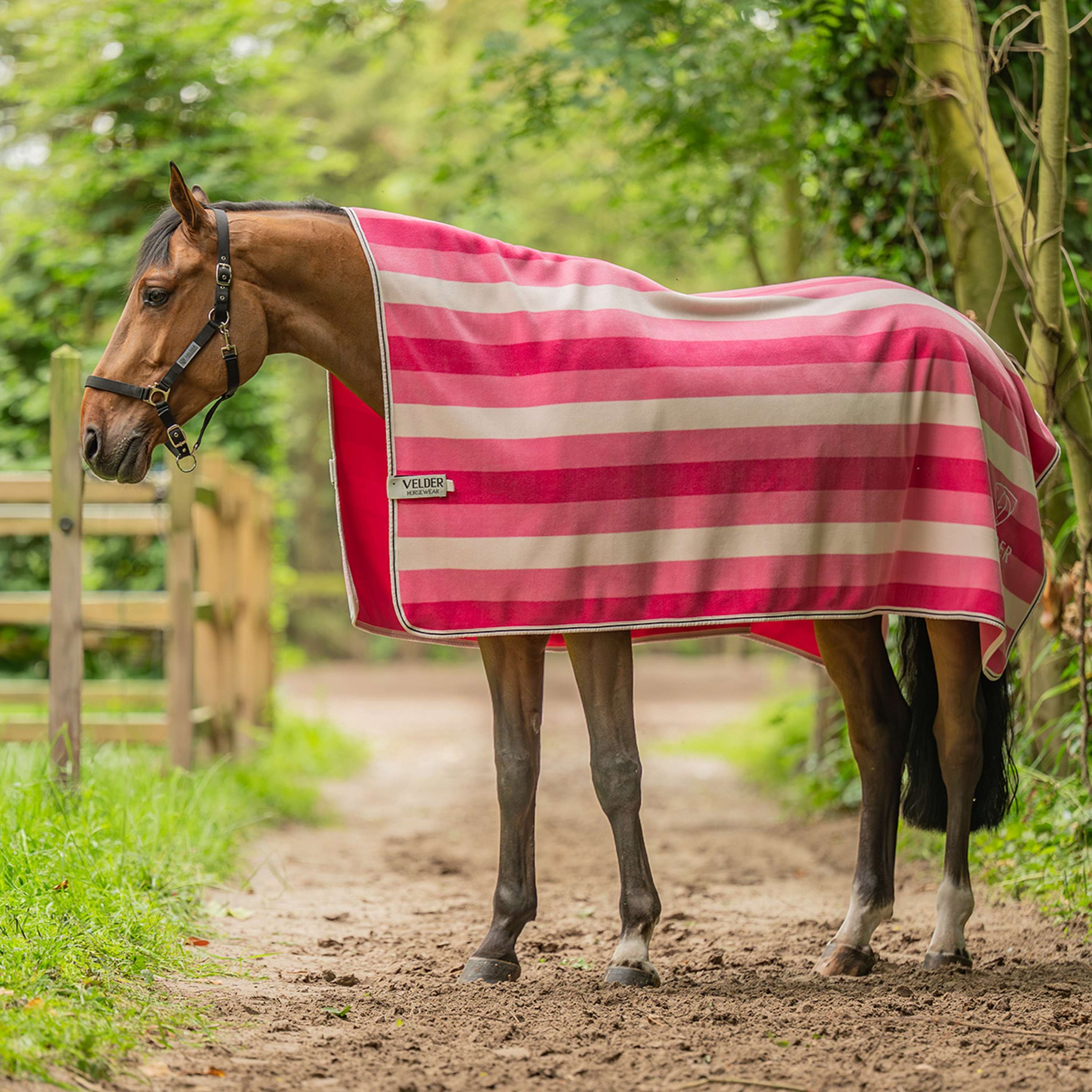 Velder Horsewear Coperta in Pile VelvetTouch Dusty Rose