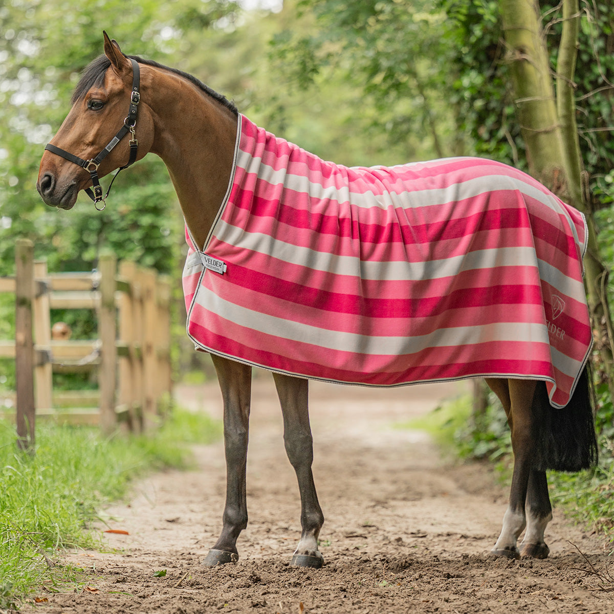 Velder Horsewear Premium Cooler VelvetTouch Dusty Rose Velder Horsewear Premium Cooler VelvetTouch Dusty Rose