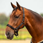 Velder Horsewear Premium Capezzina Satin Glow Nero