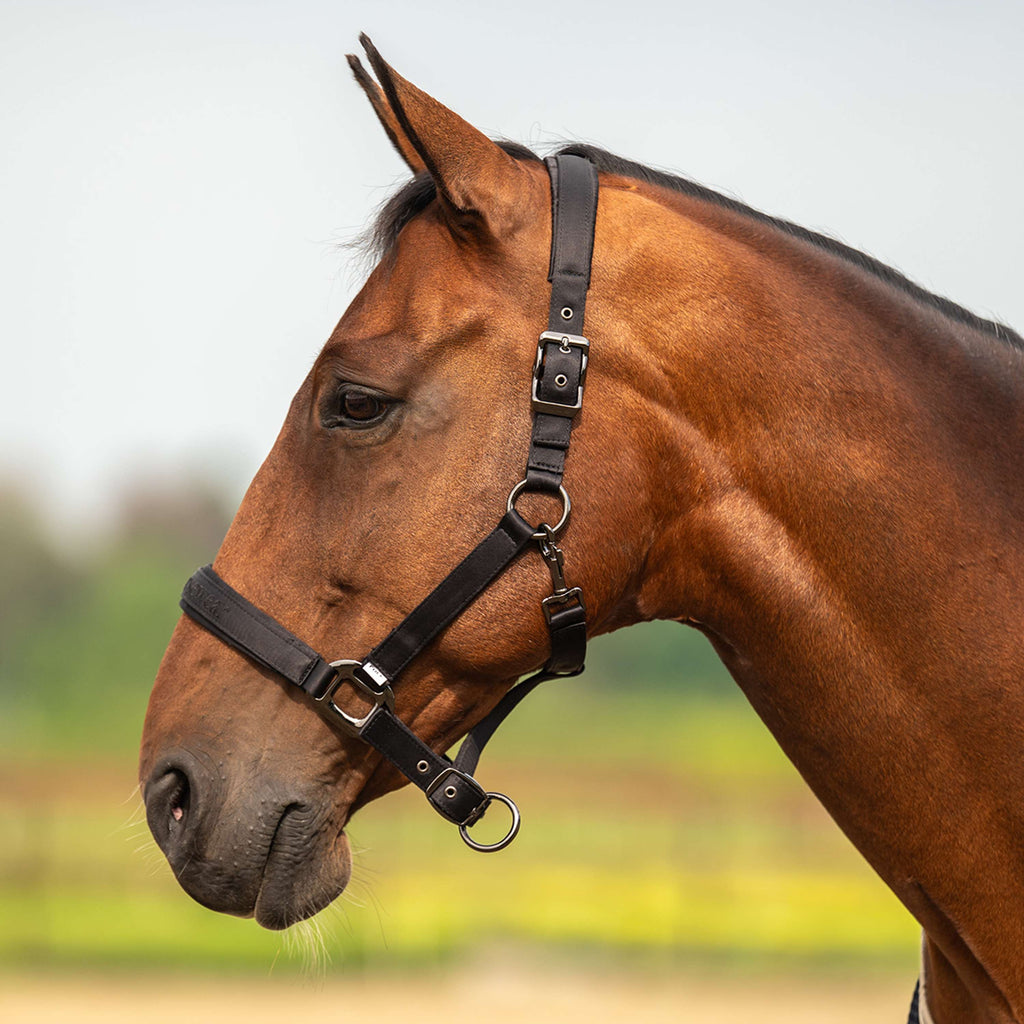 Velder Horsewear Premium Capezzina Satin Glow Nero