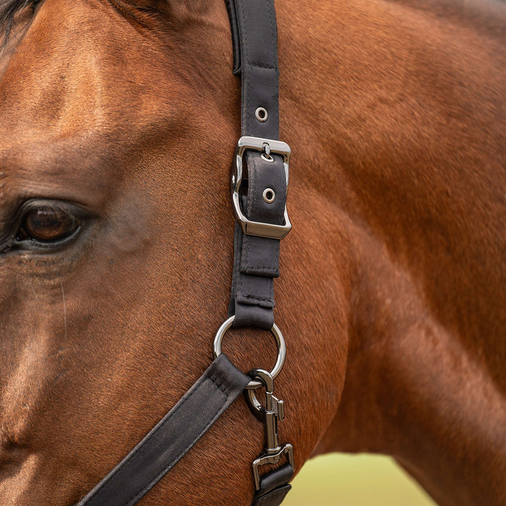 Velder Horsewear Premium Capezzina Satin Glow Nero