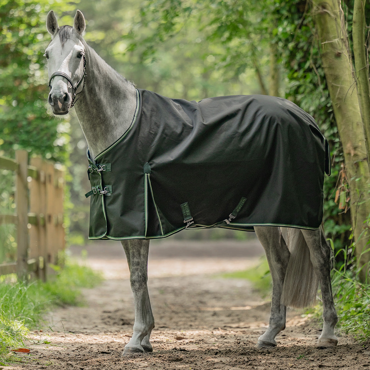 Velder Horsewear Premium Turnout 900D 0g EasyClip Night Forest Velder Horsewear Premium Turnout 900D 0g EasyClip Night Forest
